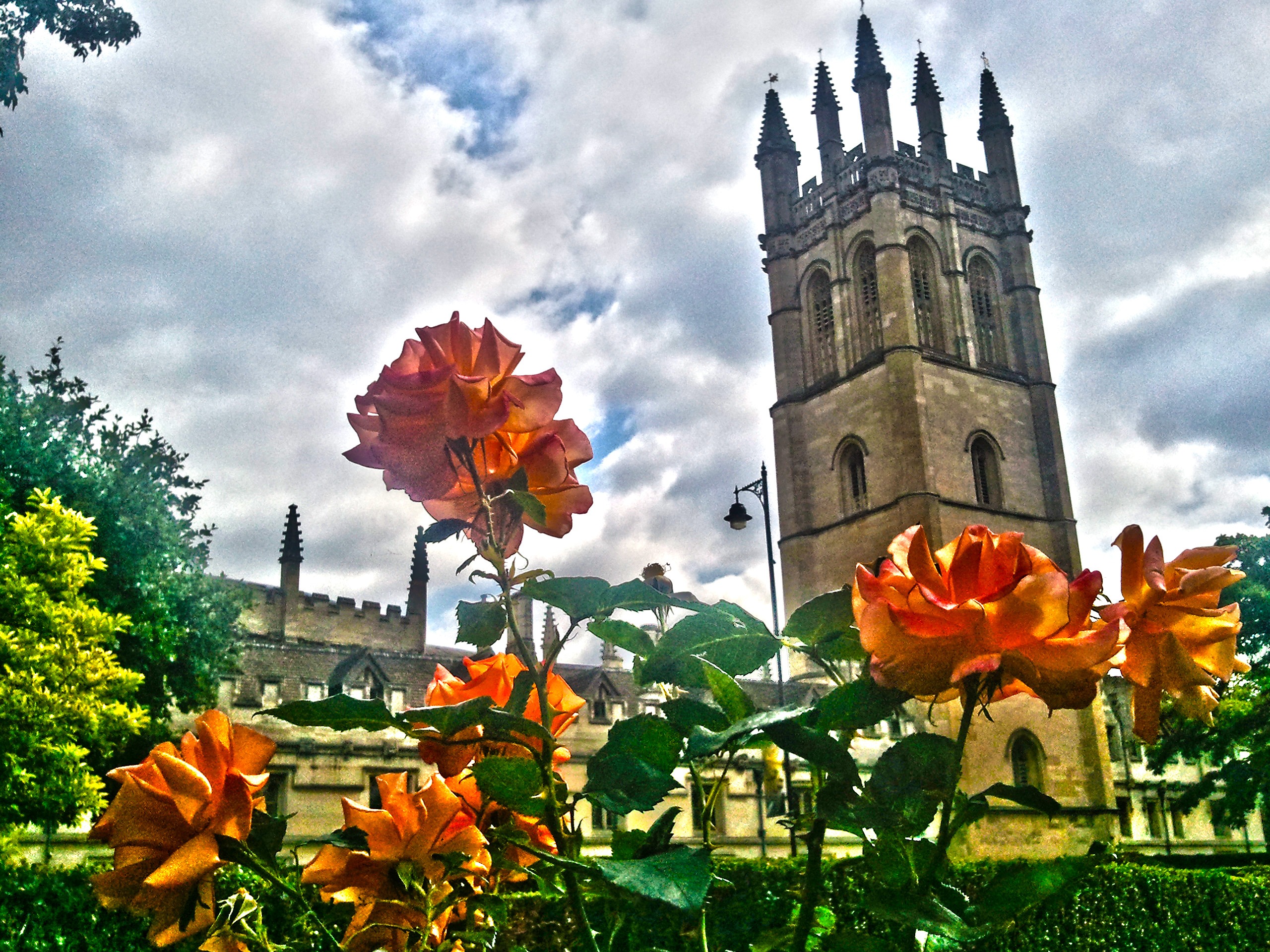 2K, history, building exterior, botanical, cloud - sky, beauty in nature, herb, collage, natural, flowering plant, built structure, flower, magdalena, HD Wallpaper