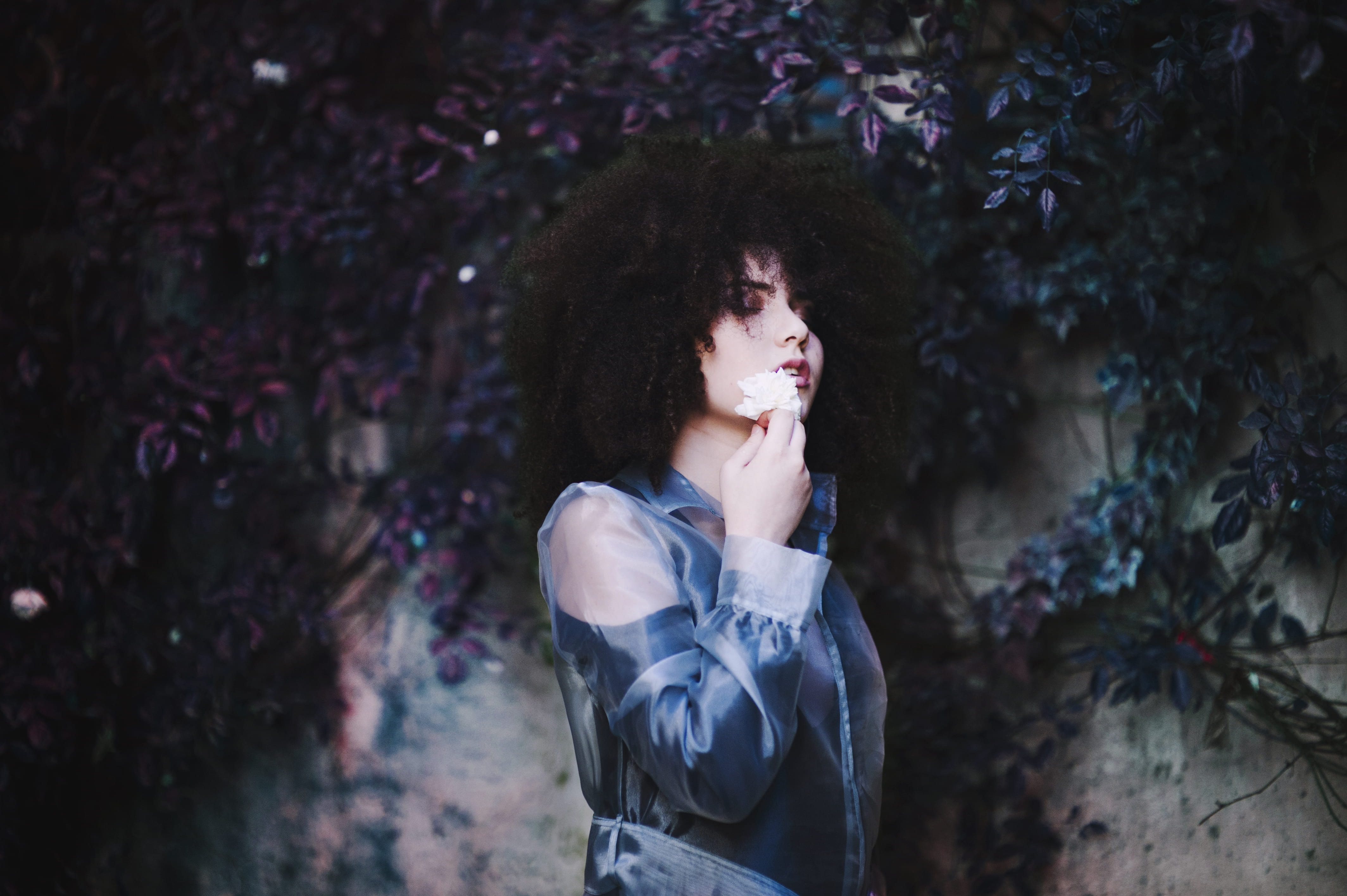 leisure activity, beauty, flower, outdoors, shoulder, top, hair, young adult, hairstyle, casual clothing, nature, model, wearing, tree, holding, adult, HD Wallpaper