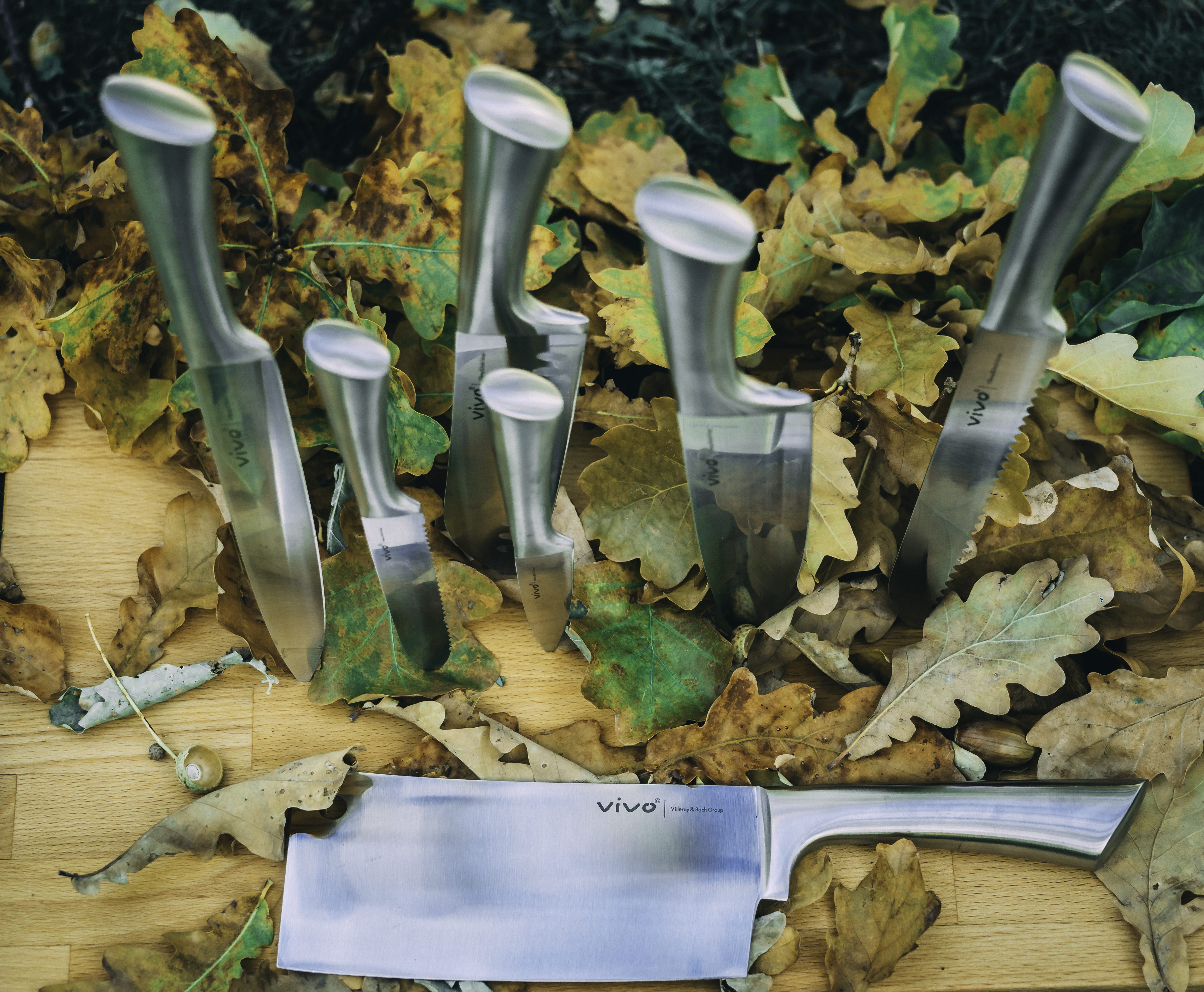 plant, leaf, close-up, shiny, no people, set, autumn, large group of objects, park, text, indoors, fall, nature, cut, vivo, container, stainless steel, HD Wallpaper