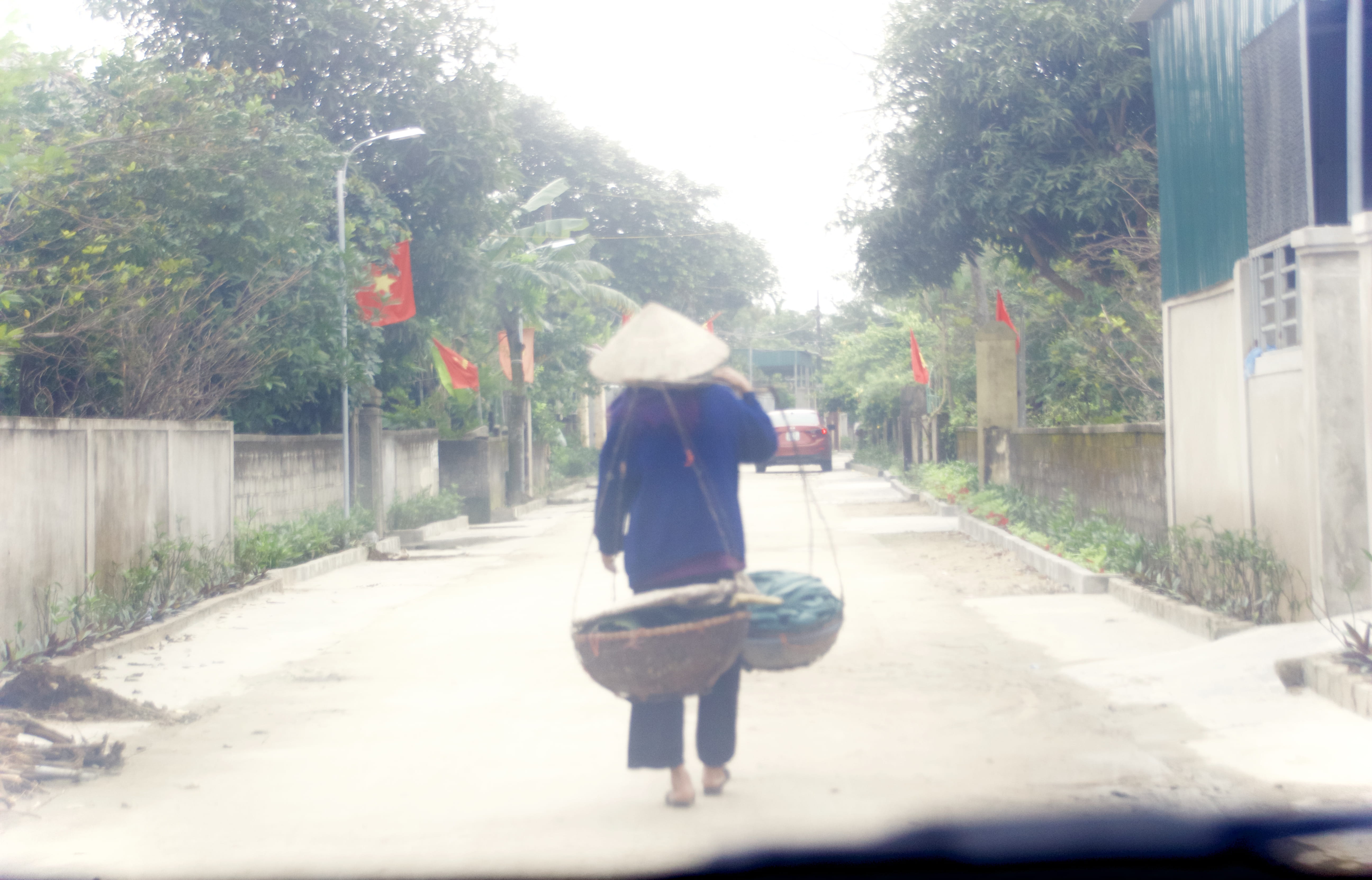 country, casual clothing, real people, full length, outdoors, 5K, oriental, adult, tree, one person, asia, city, warm clothing, building exterior, day, HD Wallpaper
