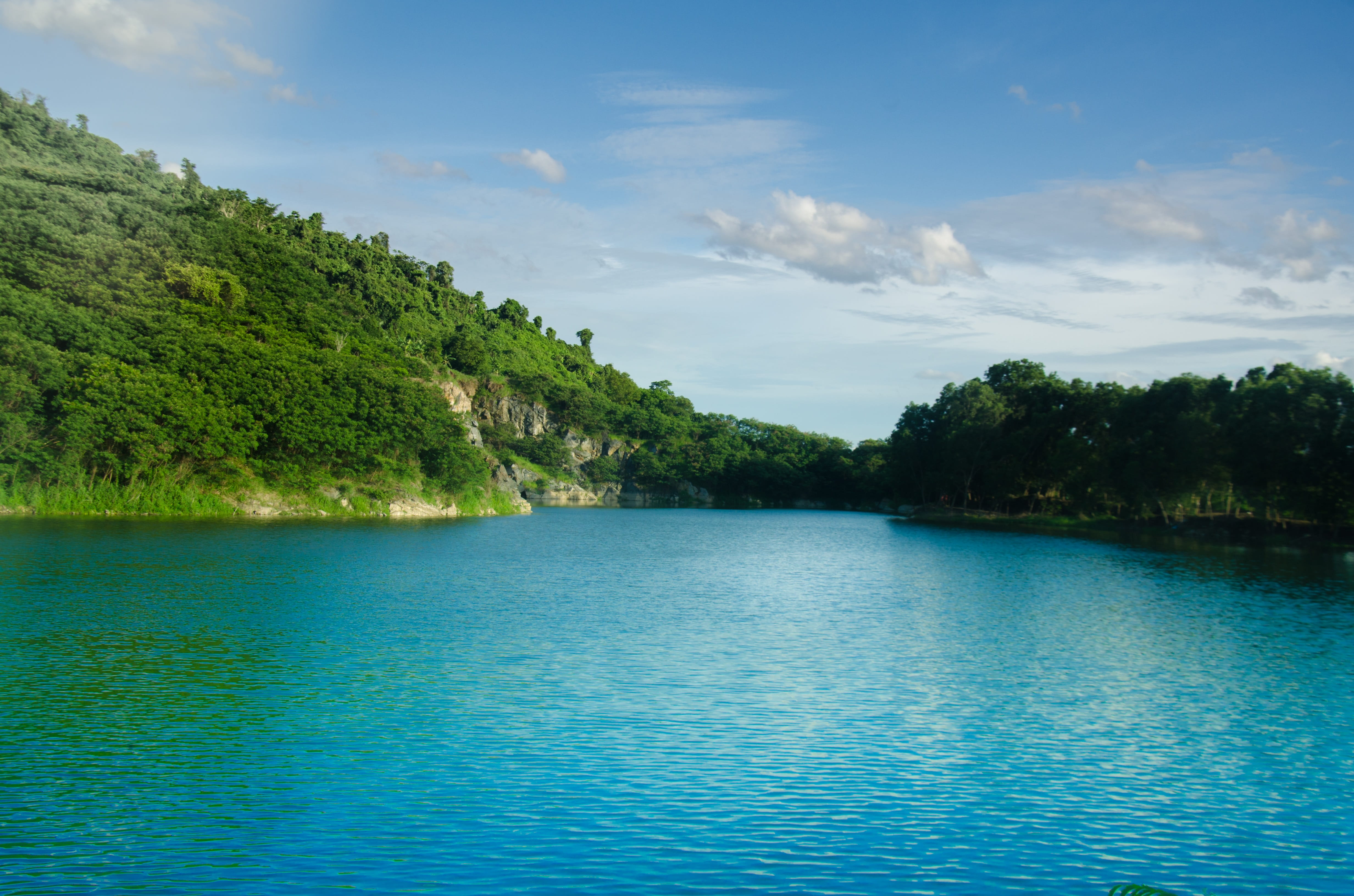 nature, tree, outdoors, green, rivers and streams, idyllic, fresh, vietnam, green color, blue, 4K, tranquil scene, tranquility, scenery, outdoor, scenics - nature, HD Wallpaper