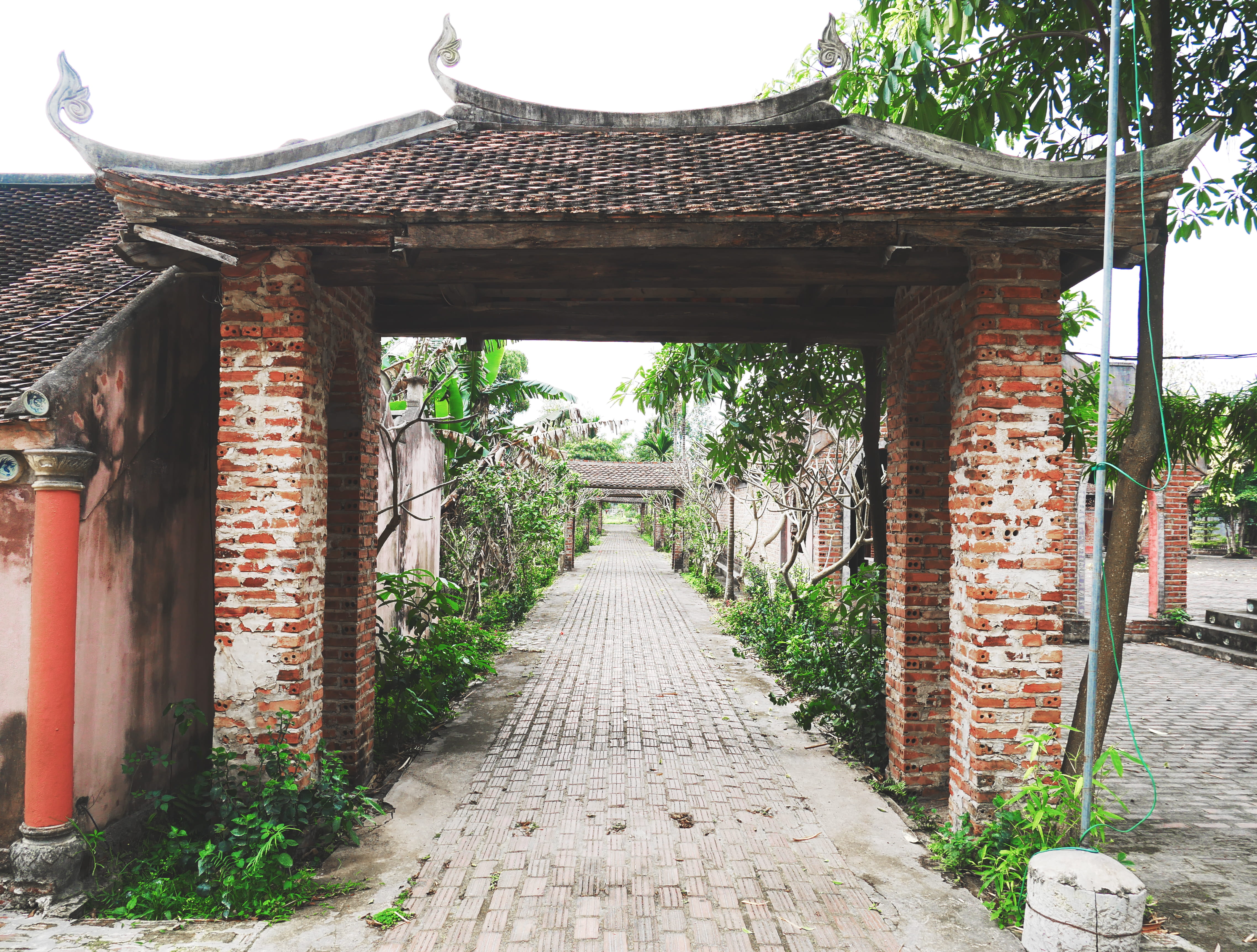 the way forward, tree, footpath, no people, vietnam, tam coc ninh binh, buddhist building, architecture, place of worship, backpacker, building exterior, HD Wallpaper