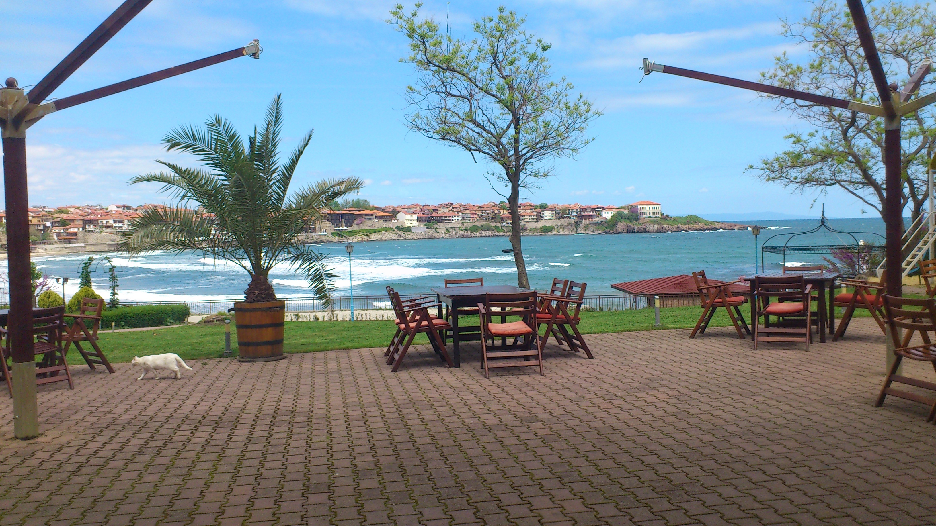 beauty in nature, bulgaria, plant, sozopol, paving stone, no people, restaurant, table, 2K, water, outdoors, café, tropical climate, business, cat, sky, HD Wallpaper
