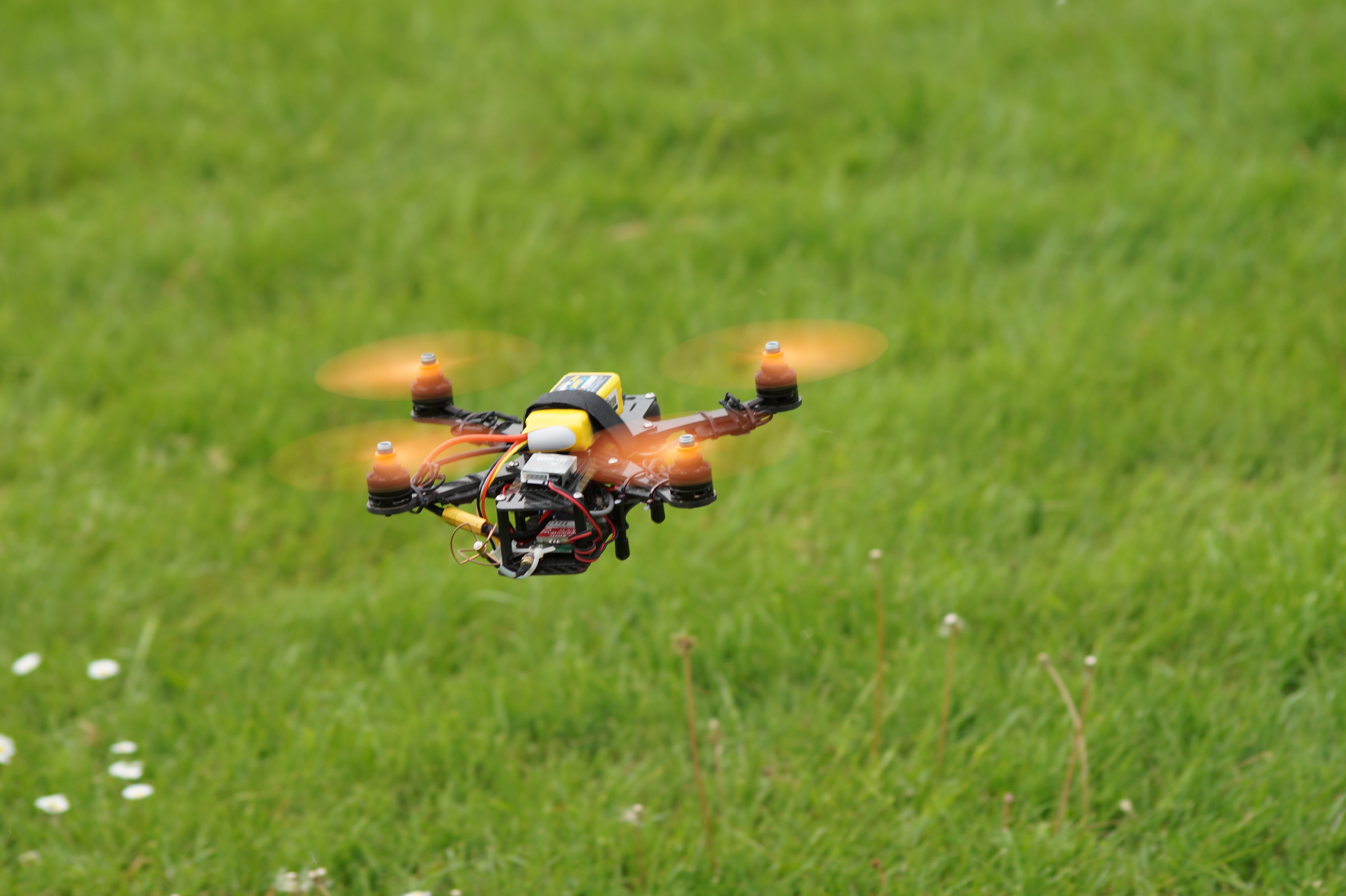 speed, plant, grass, nature, no people, black, yellow, drone, sport, green color, multicopter, animal wing, outdoors, animal themes, selective focus, insect, HD Wallpaper