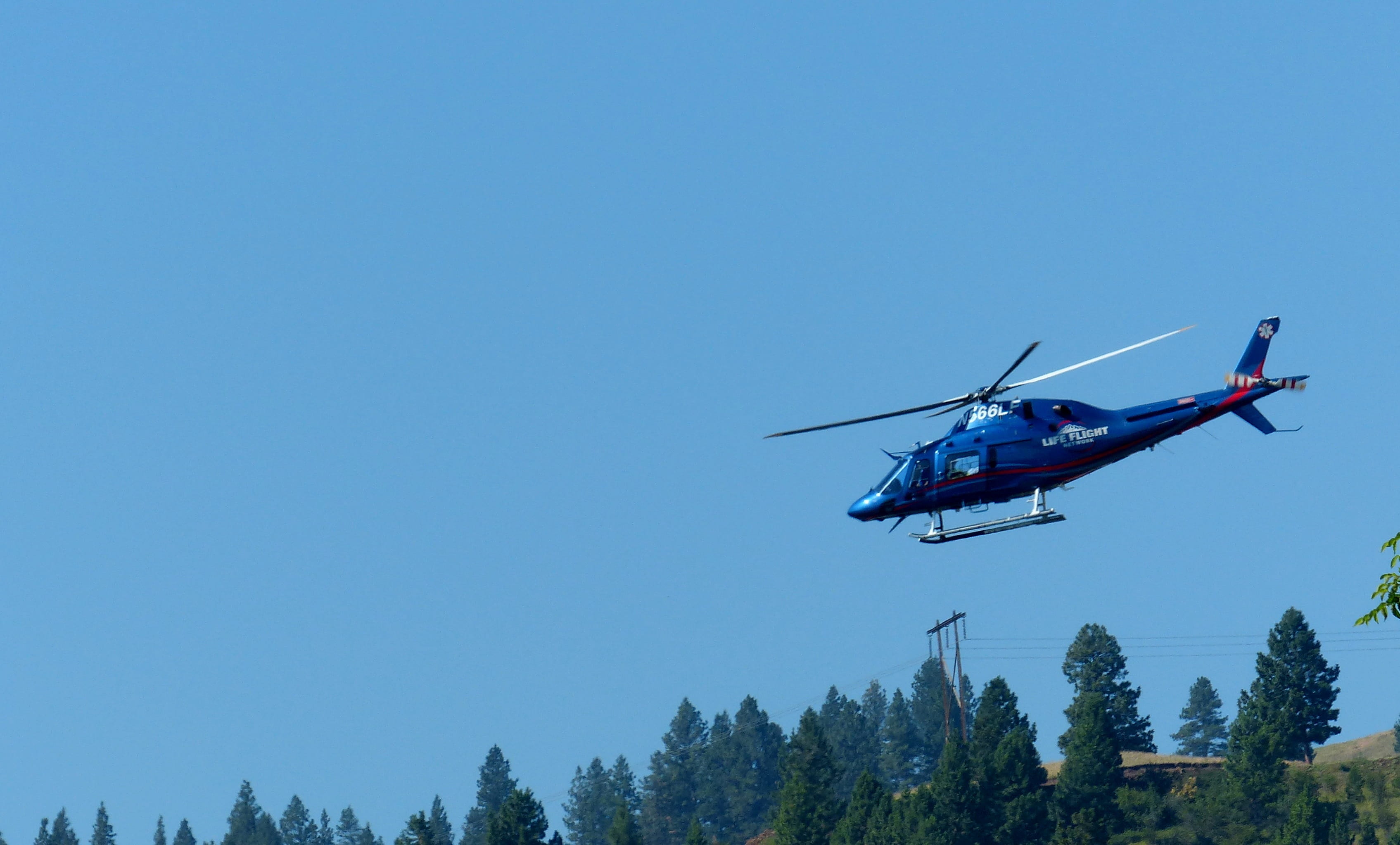 2K, transport, outdoors, sky, day, copy space, motion, Aviation, mid-air, nature, flight, aerial, airplane, animals in the wild, copter, blue, Aircraft, HD Wallpaper