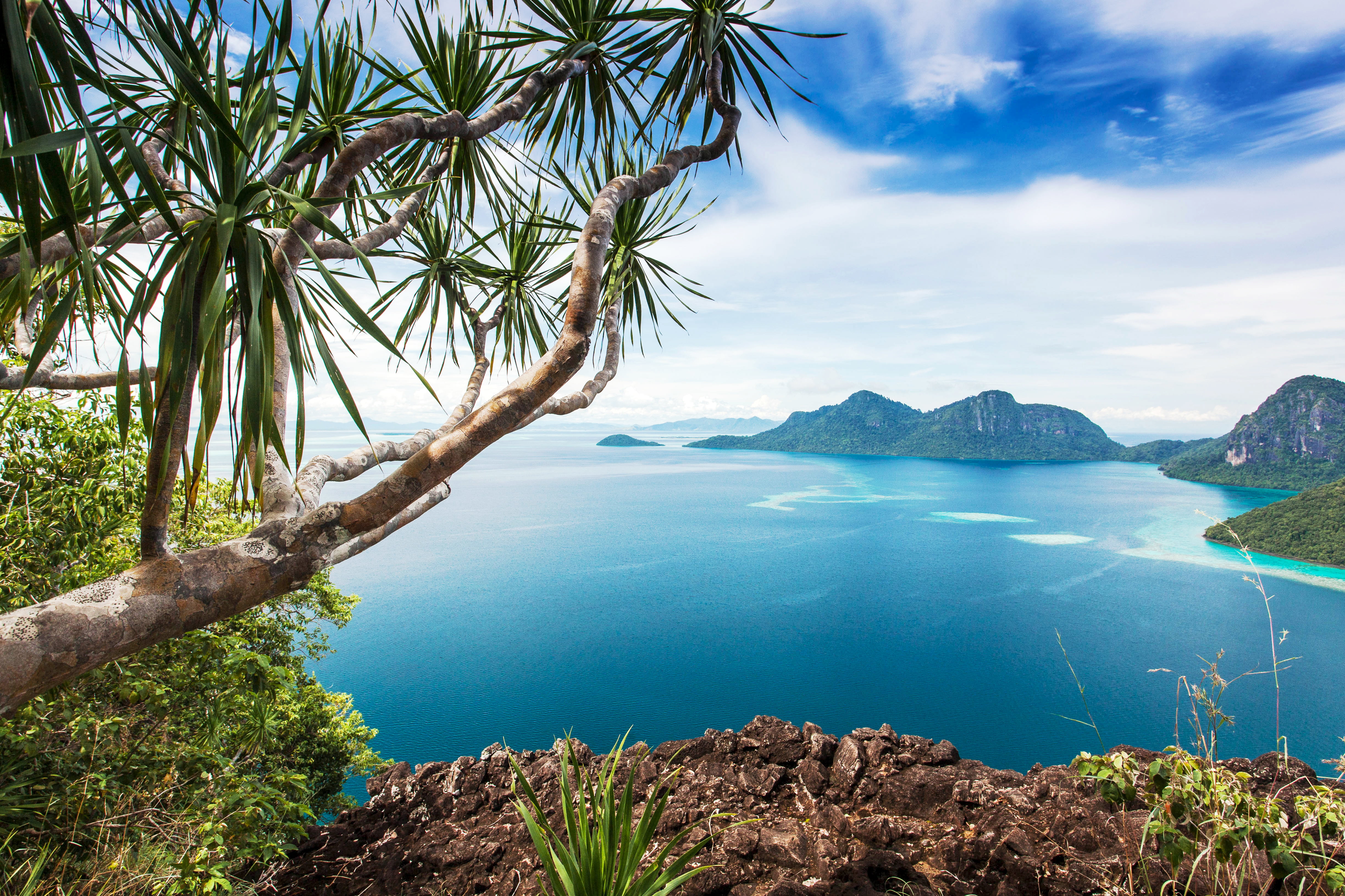 nature, the bushes, clouds, scenics - nature, 4K, tree, mountains, horizon, leafed, palm tree, sea, Malaysia, no people, beauty in nature, tropics, mountain, HD Wallpaper