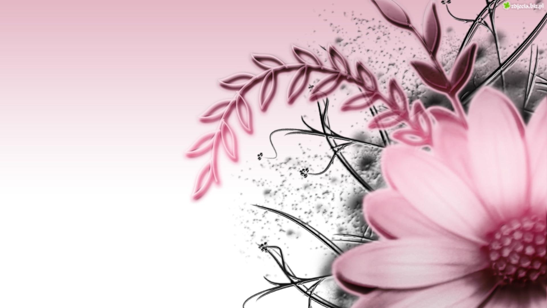pink flower, grey, 3d and abstract, 1080P, pink, amp, floral, flowers, seasons, HD Wallpaper