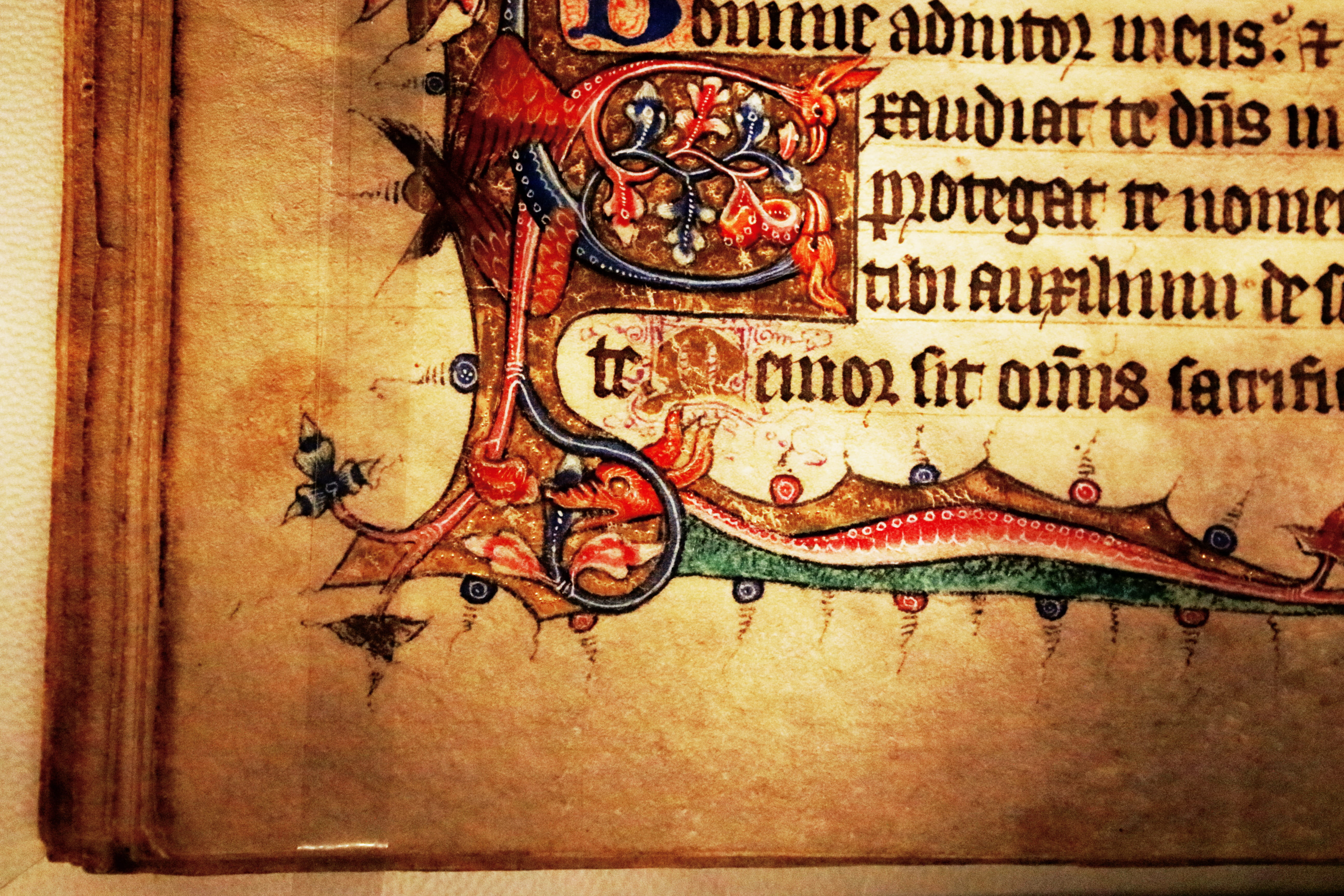 middle ages, medieval, art and craft, communication, writing, wall - building feature, still life, history, architecture, manuscript, 5K, no people, words, HD Wallpaper
