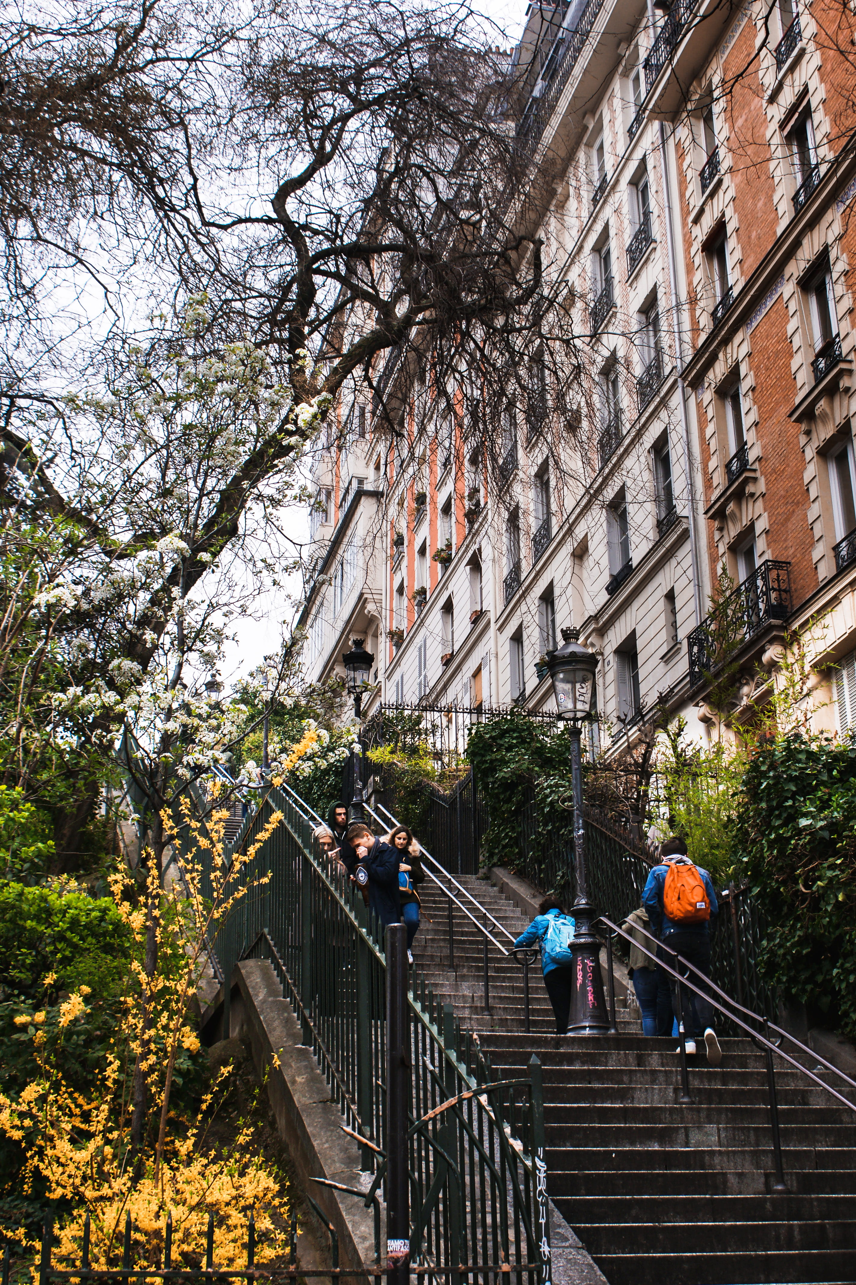 people, city, growth, men, person, day, steps and staircases, handrail, tree, high rise, nature, group of people, low angle view, paris, real people, 4K, Phone HD Wallpaper