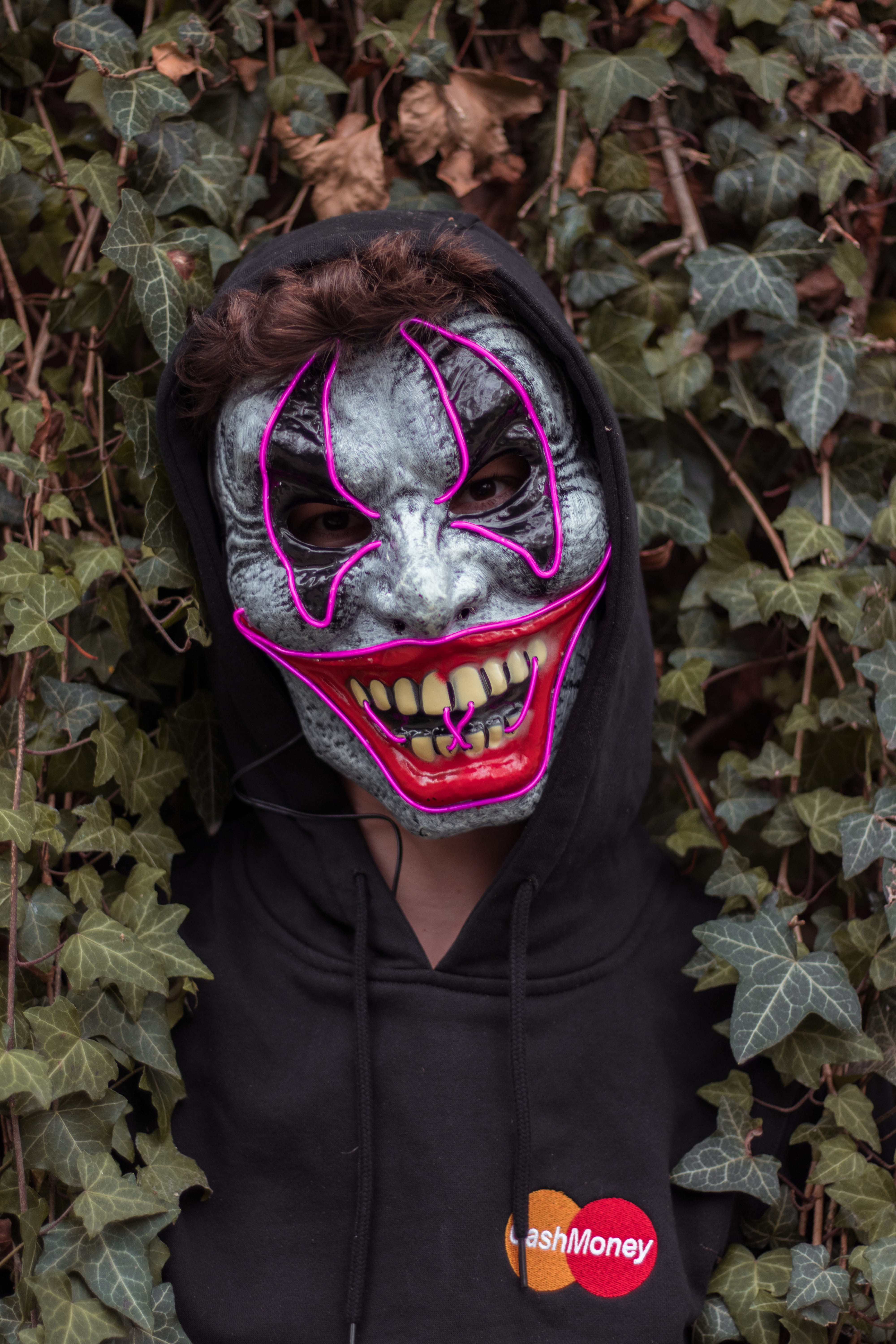 scray portrait, belgique, photo of the day, leaf, leisure activity, mask, headshot, day, plant part, adult, one person, belgium, europa, obscured face, Phone HD Wallpaper