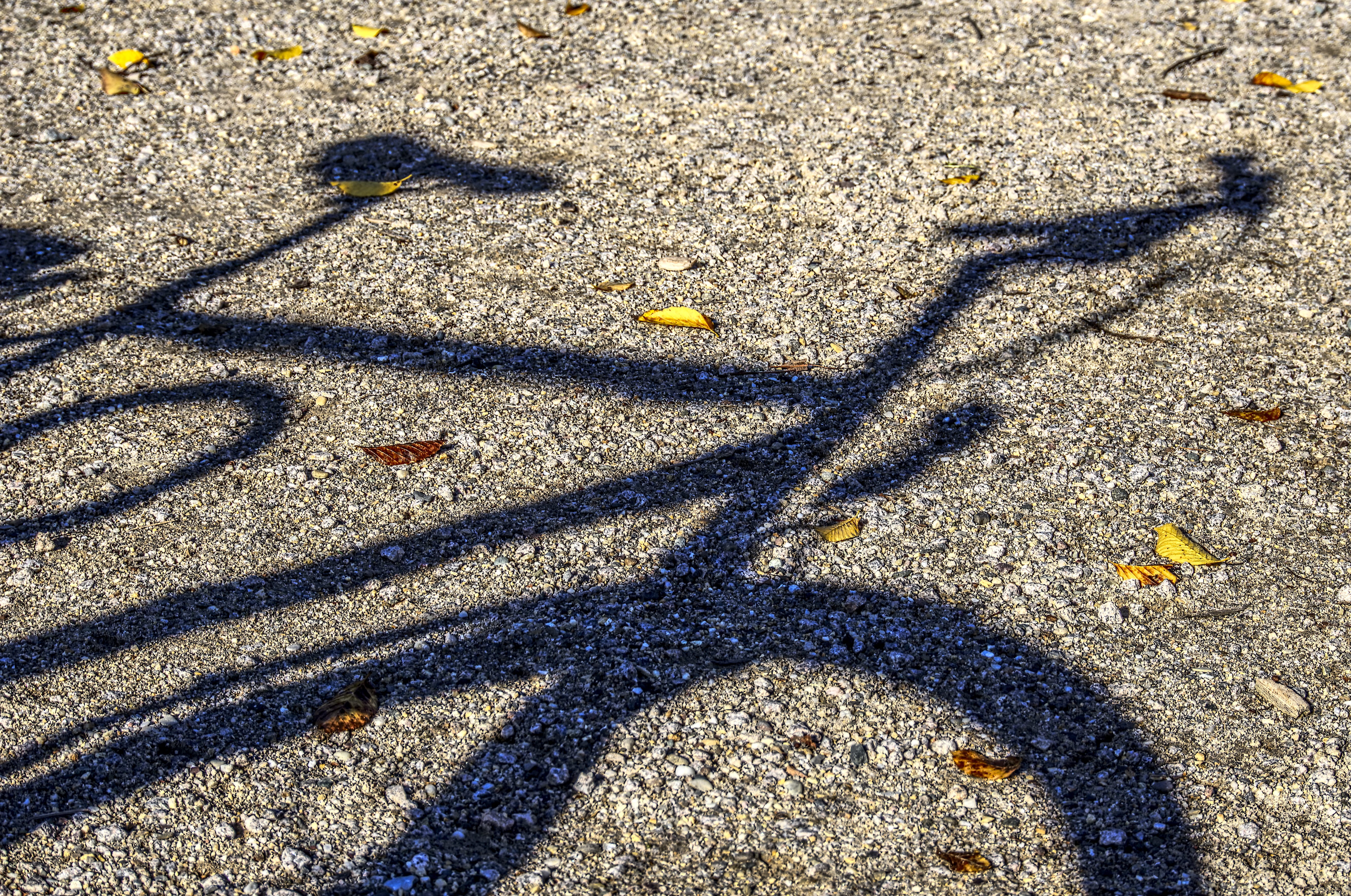 bike, cycling, day, art and craft, outdoors, no people, asphalt, 5K, pebble, high angle view, pattern, wheel, city, silhouette, high dynamic range, street, HD Wallpaper