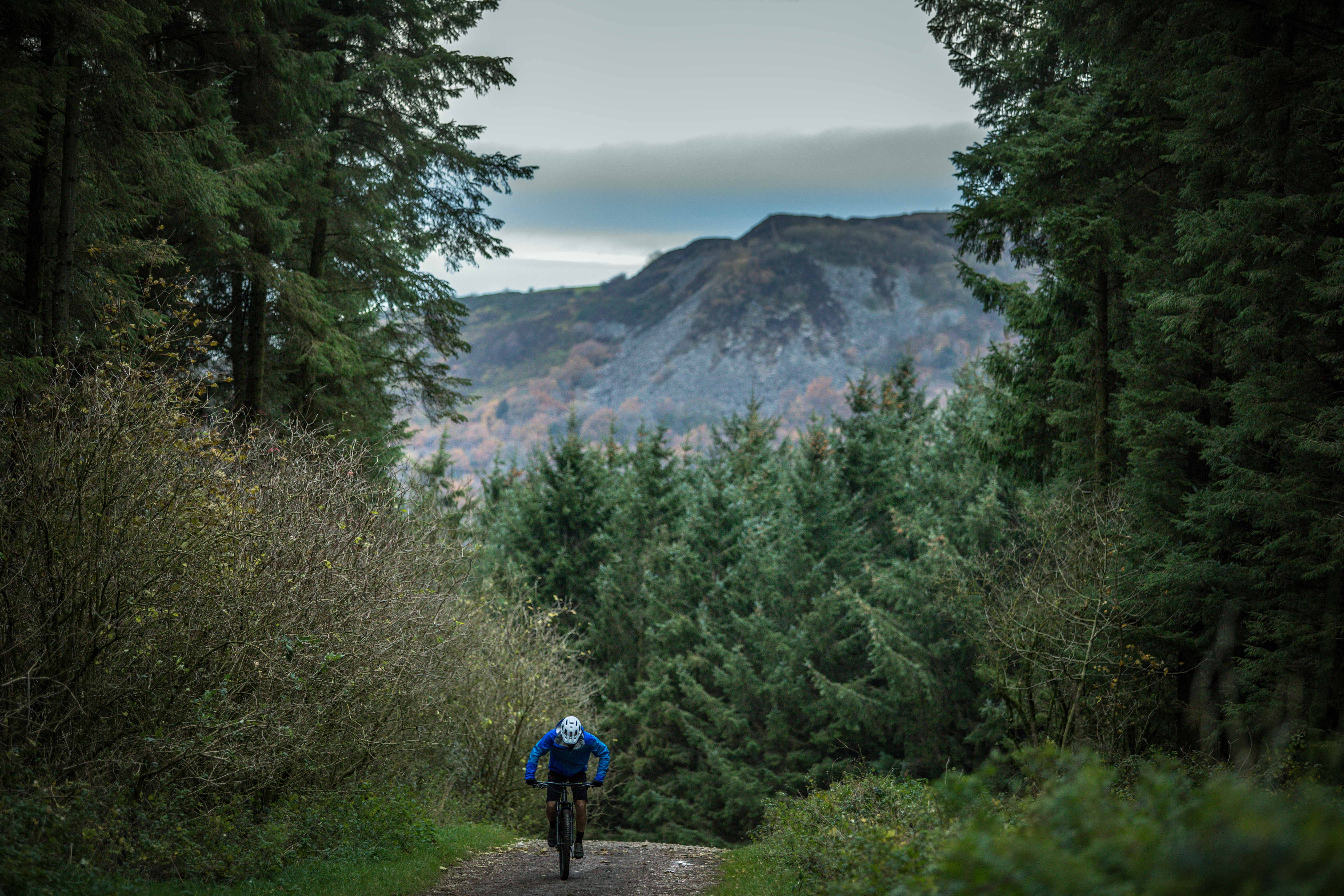 jacket, growth, non-urban scene, pine, outdoors, 5K, mountain range, lifestyles, leisure activity, day, trees, larch, wearing, riding, hiking, spruce, HD Wallpaper