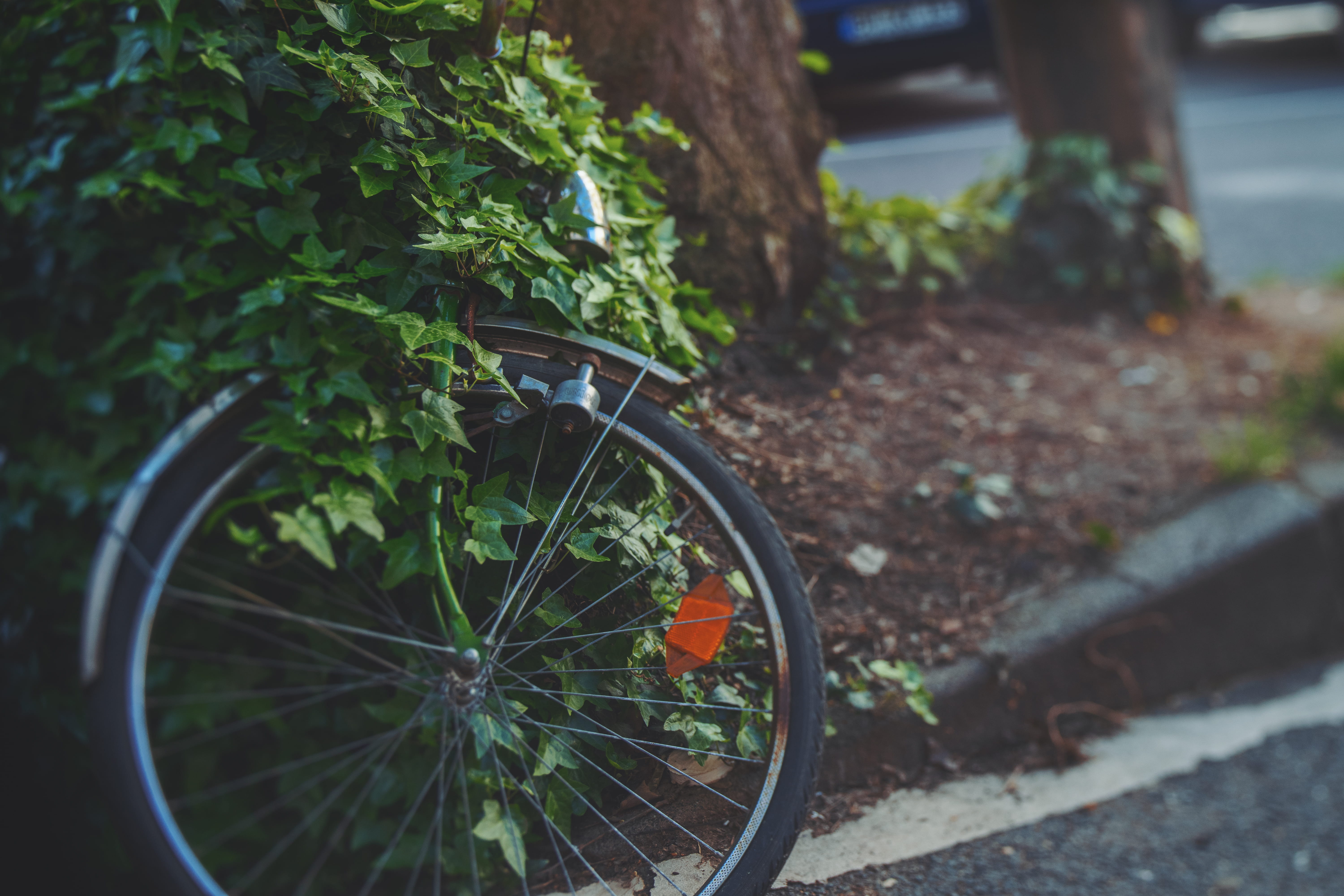 outdoors, tire, no people, 5K, road, bike, dirt road, sports, high angle view, tarmac, nature, plant, close-up, flower pot, bicycle, sport, day, land vehicle, HD Wallpaper