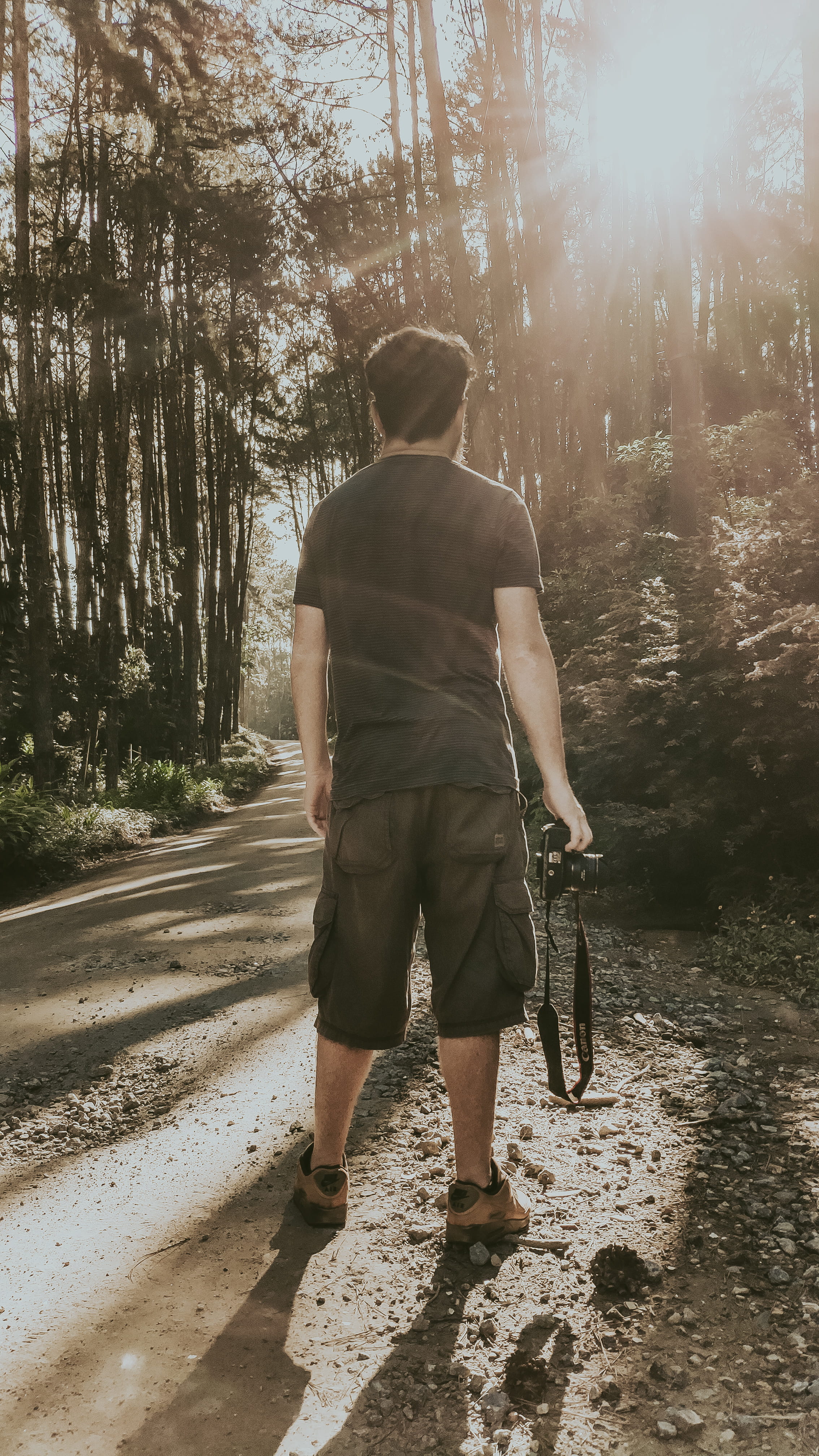 gravel, woodland, land, transportation, footwear, human, light, leisure activity, tree, dirt road, full length, forest, vehicle, shorts, plant, road, standing, Phone HD Wallpaper