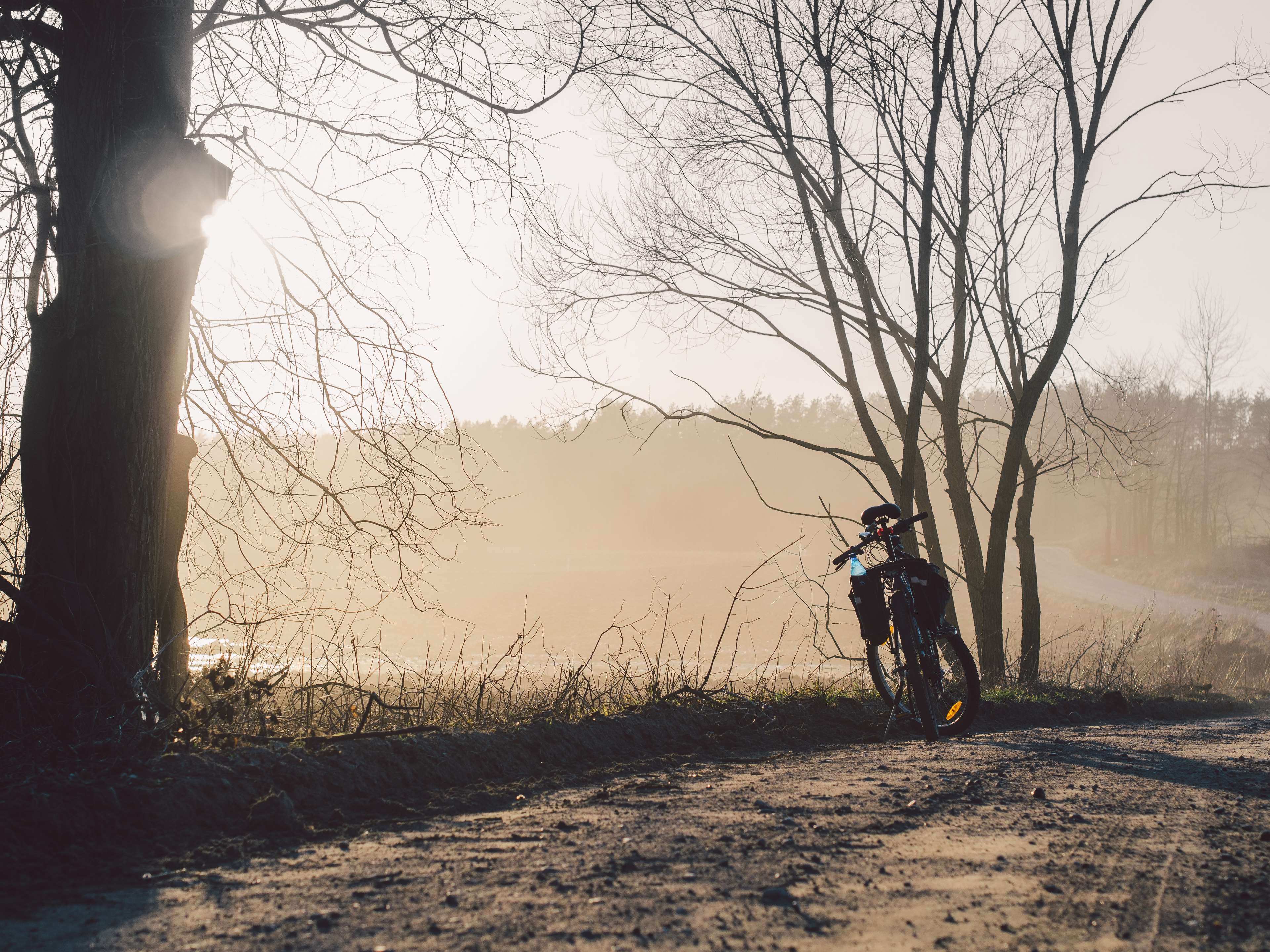 sunset, plant, riding, 4K, transportation, bare tree, tree, bike, bicycle, sun, men, day, lifestyles, sky, one person, fog, land, outdoors, lens flare, HD Wallpaper