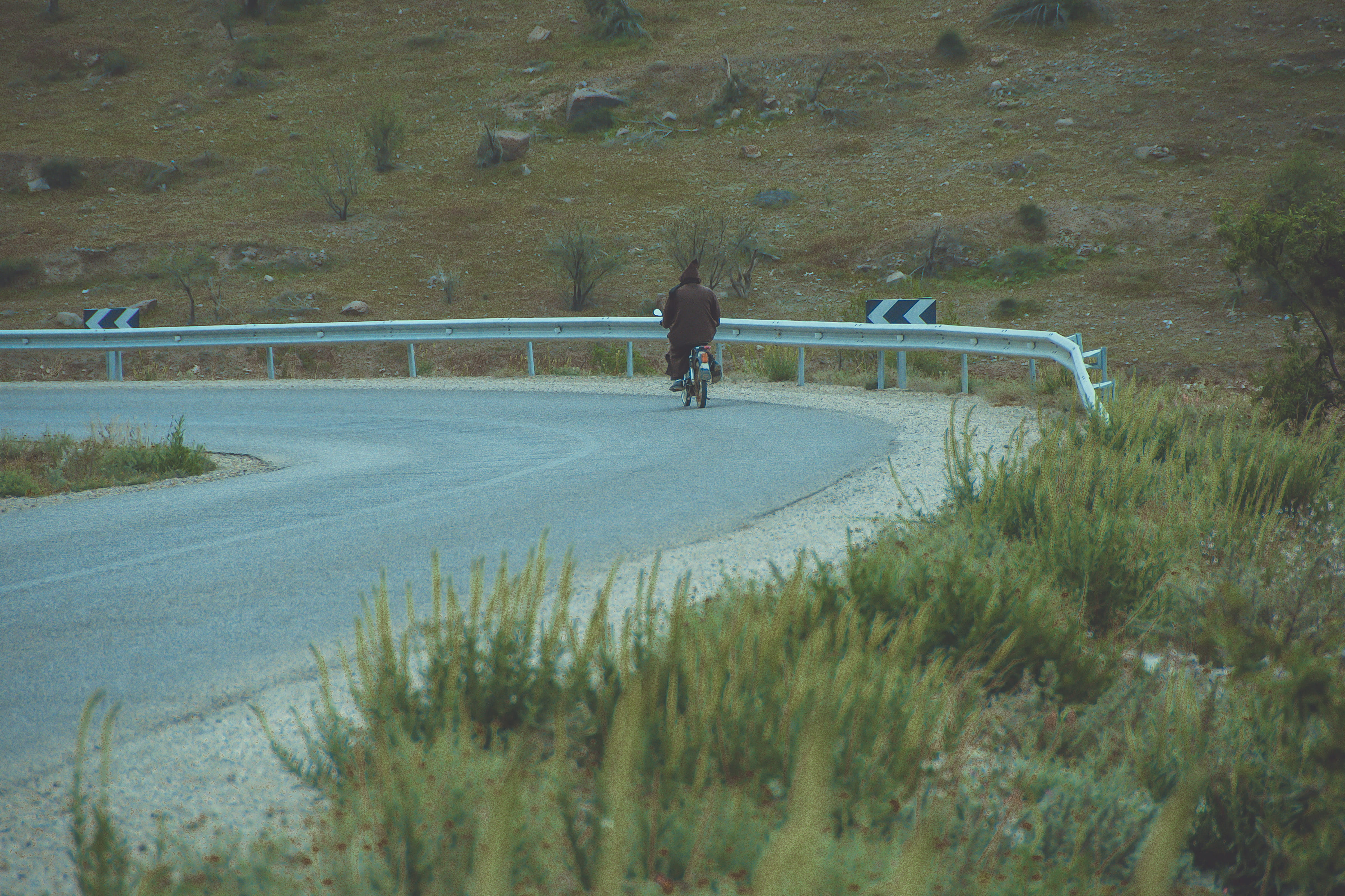 day, lifestyles, sign, slope, riding, promontory, outdoors, one animal, asphalt, nature, full length, transportation, human, highway, plant, bicycle, road, HD Wallpaper