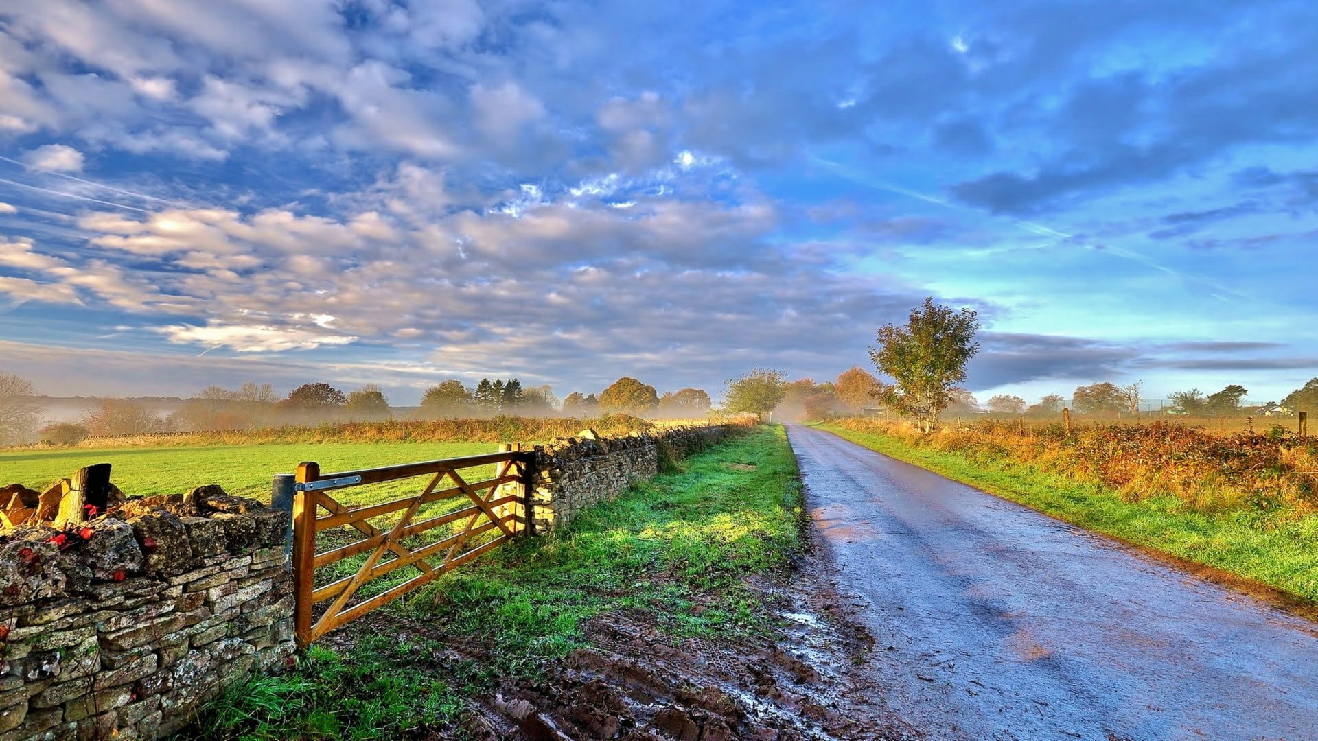 the way forward, grass, nature, field, scenics - nature, prairie, land, rural area, countryside, no people, boundary, morning, direction, sky, outdoors, HD Wallpaper