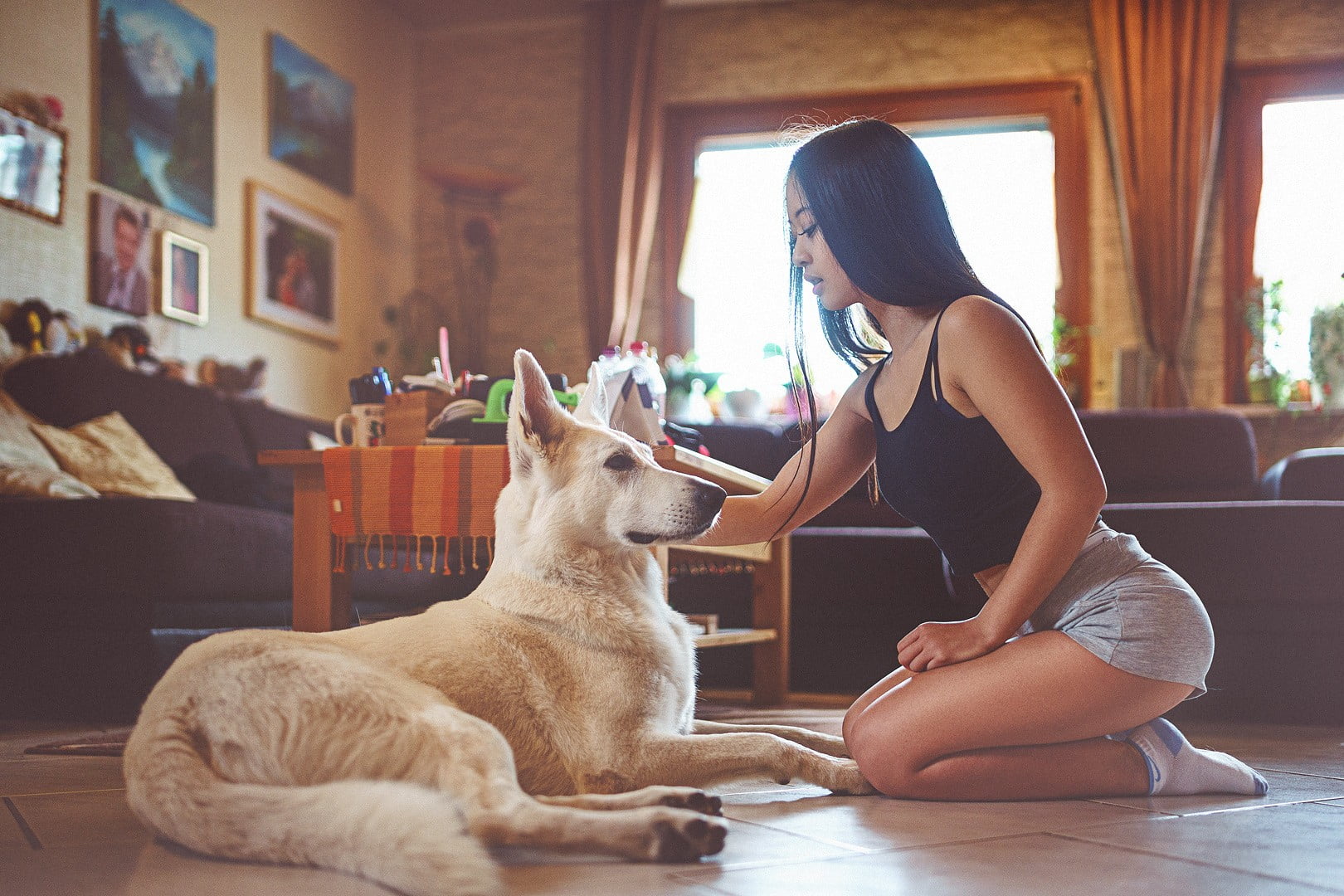 Asian, lifestyles, domestic room, sitting, socks, domestic animals, brunette, one person, mammal, flooring, women, one animal, dog, animals, adult, pets, HD Wallpaper