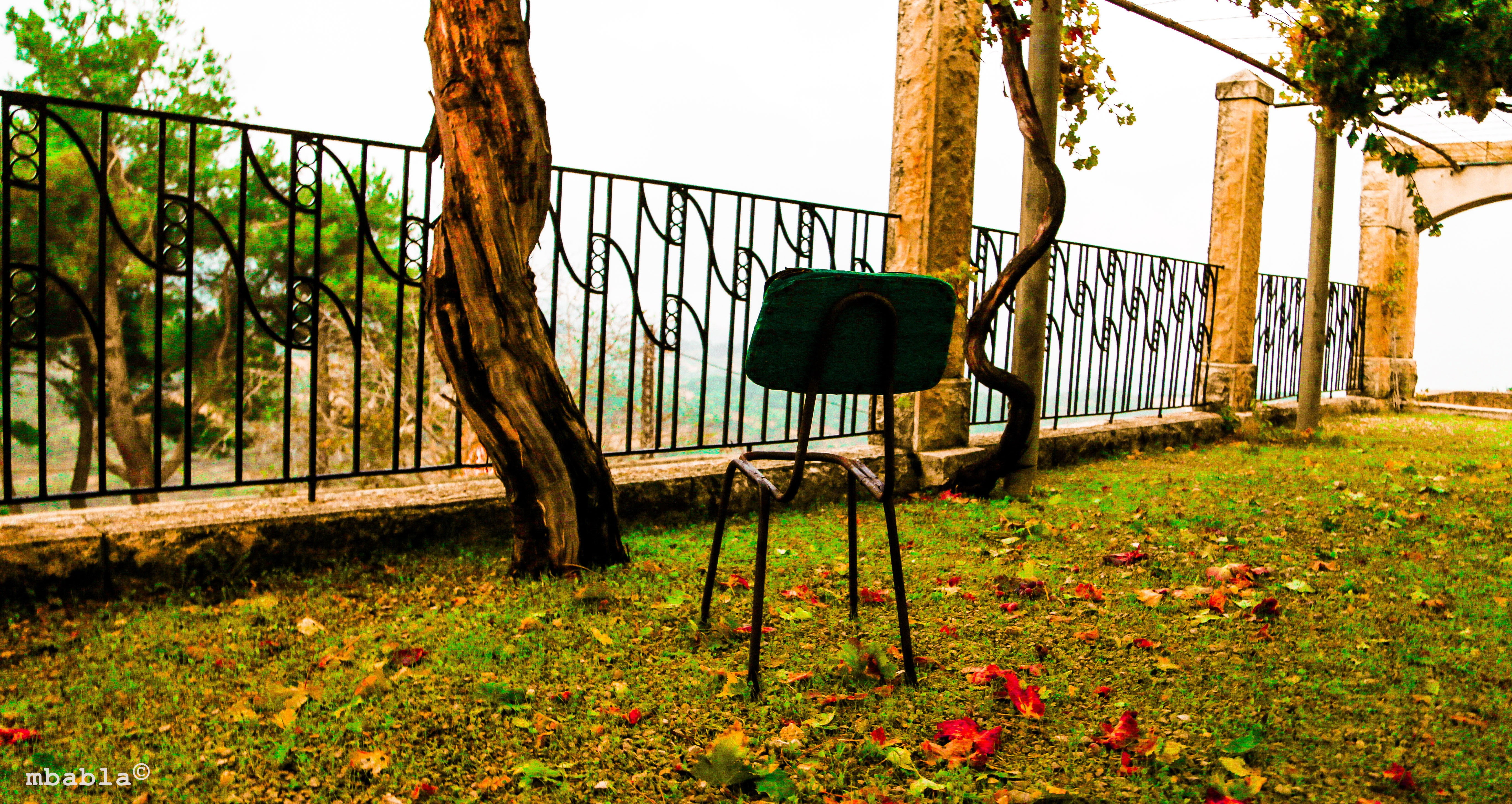 plant, barrier, architecture, 5K, metal, leaf, field, broken, tree, black, park, safety, change, brown, fence, leaves, day, boundary, chair, plant part, HD Wallpaper