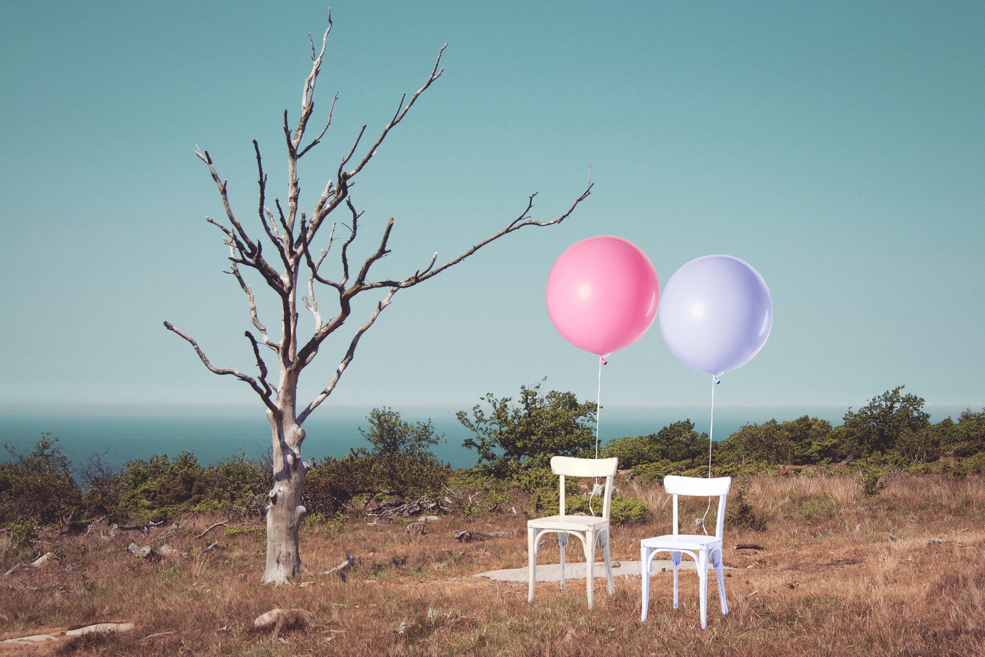 white, no people, burned, day, two, rural scene, pink, leafless, landscape, one, tranquil scene, burnt, copy space, tranquility, barren, chairs, clear sky, HD Wallpaper