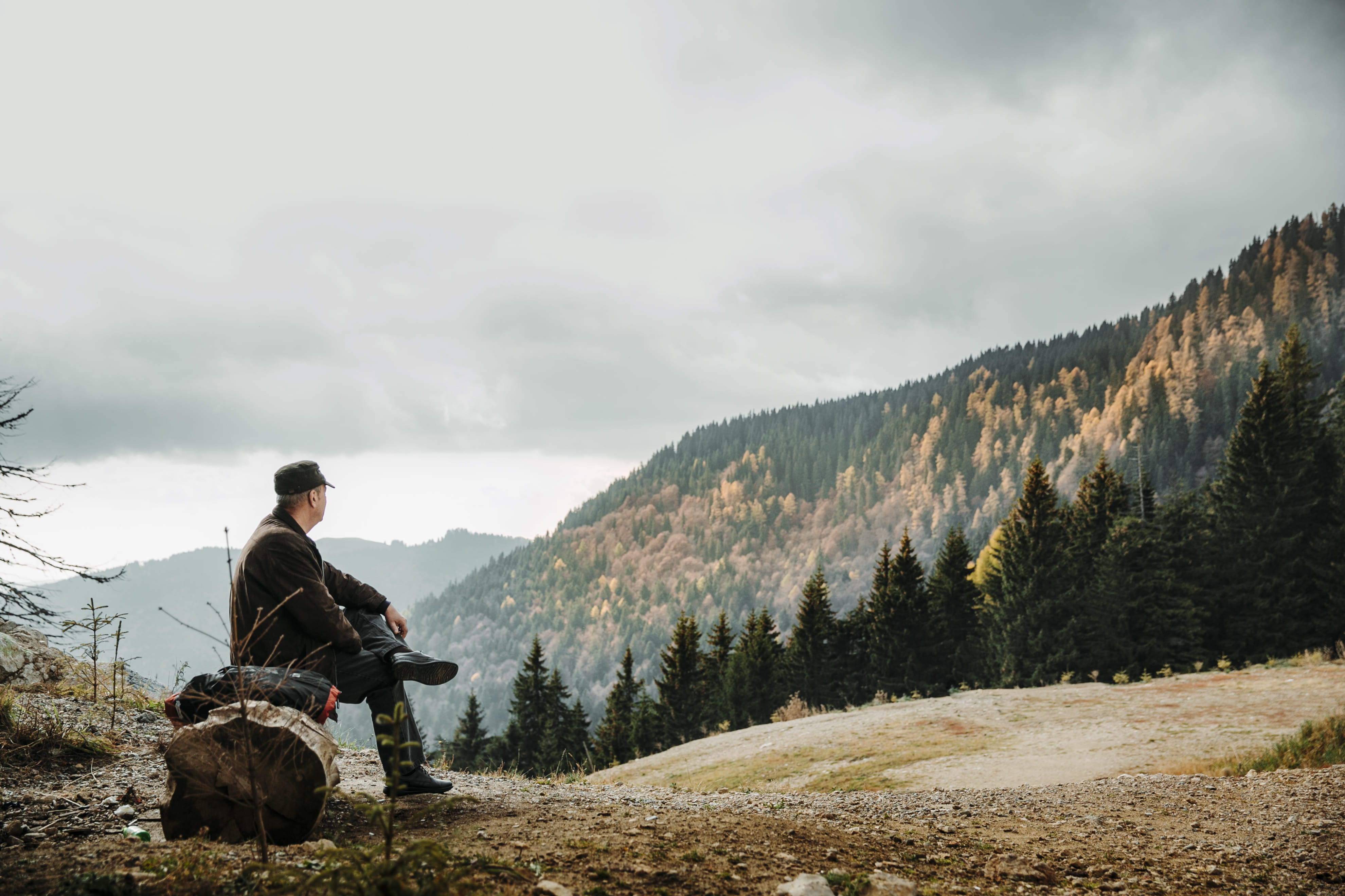 fir, leisure activity, forest, sky, idyllic, non-urban scene, sitting, abies, ground, beauty in nature, paintball, bicycle, cloud - sky, dirt road, rock, HD Wallpaper