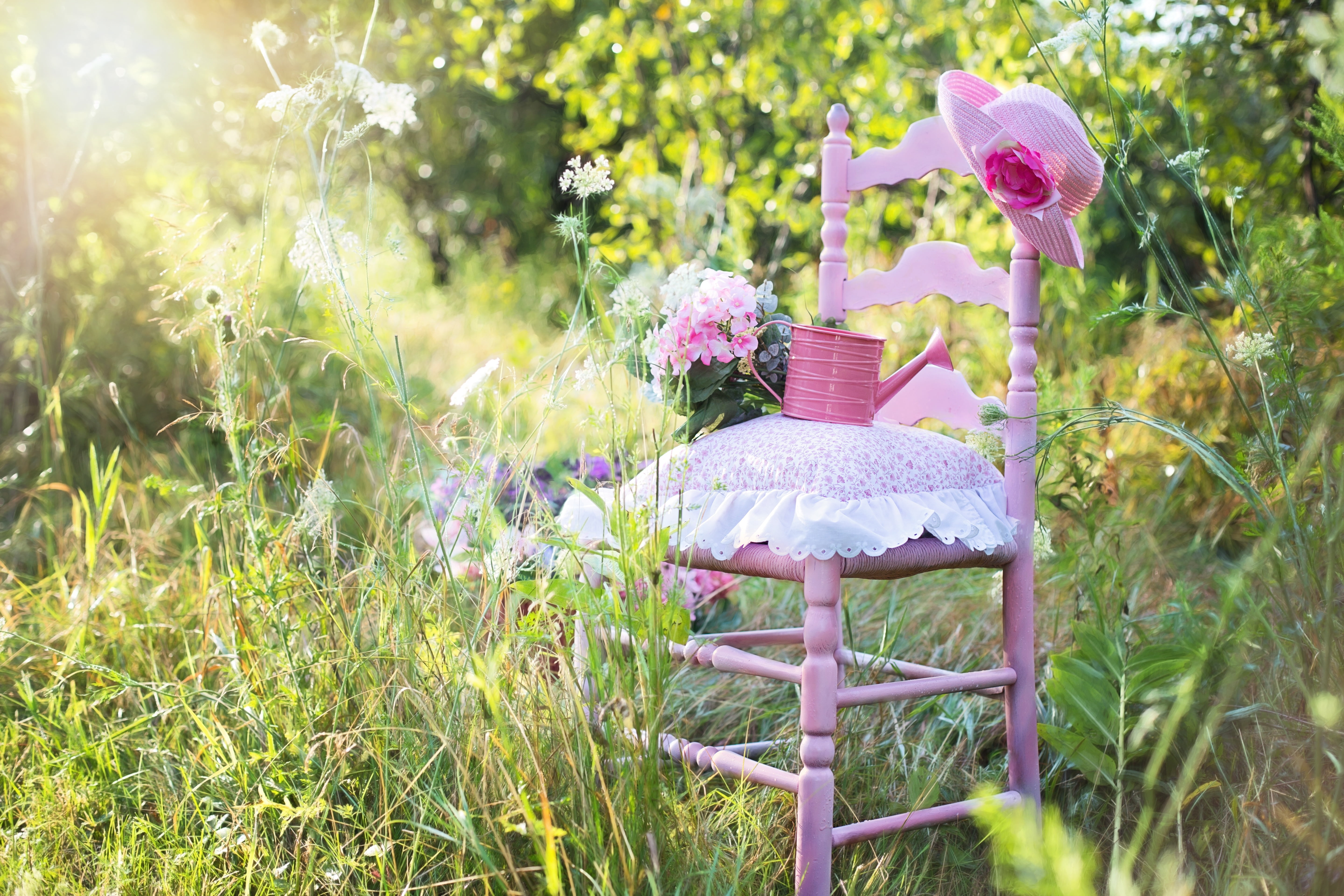 pink chair, 5K, flower head, sunlight, flower arrangement, watering, surrounded, wedding, flowering plant, land, chair, plant, growth, event, lifestyle, HD Wallpaper