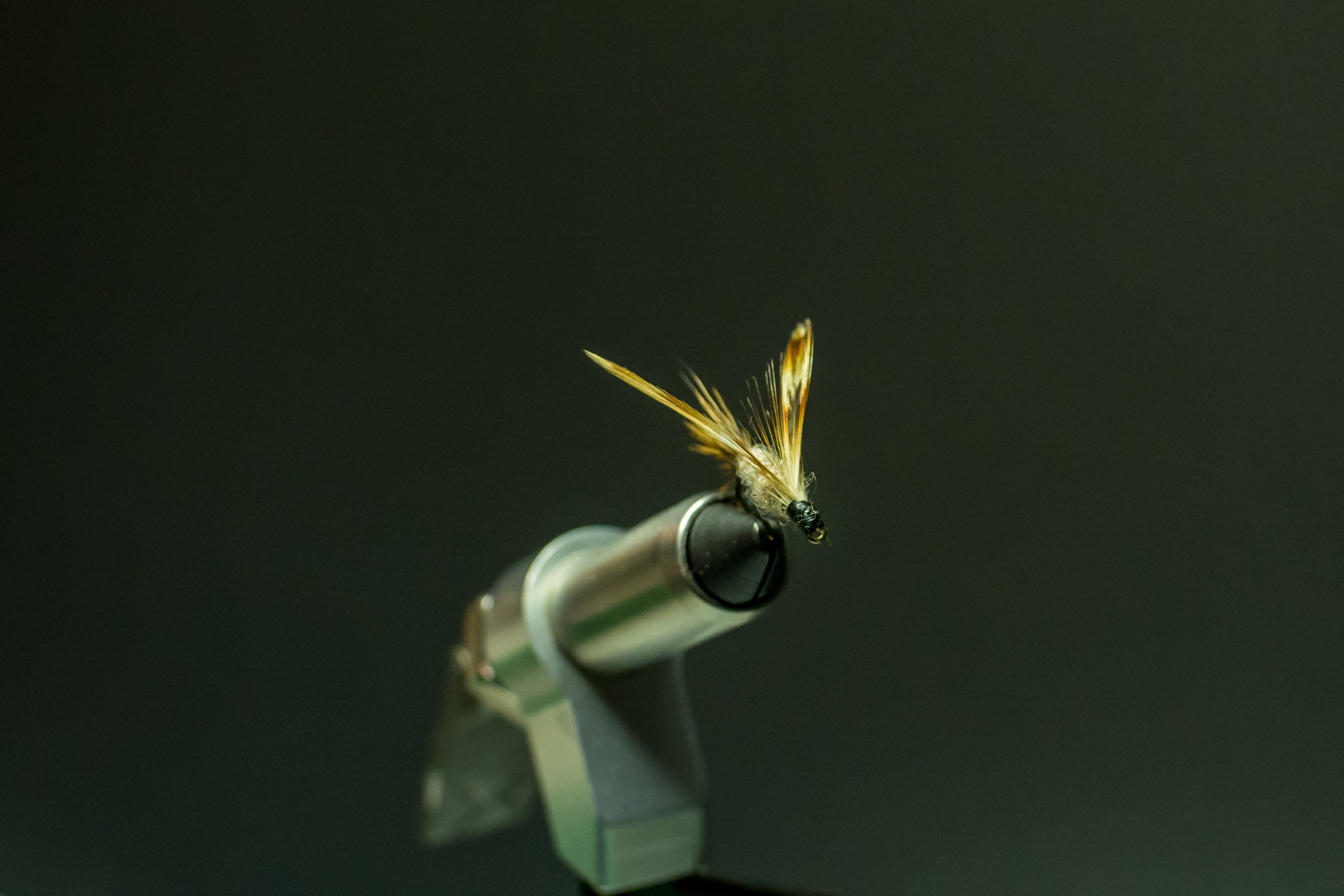 animal wildlife, leaf, angler, animals in the wild, animal head, fly, flies, no people, animal wing, fly-tying, green color, craft, animal body part, black background, HD Wallpaper