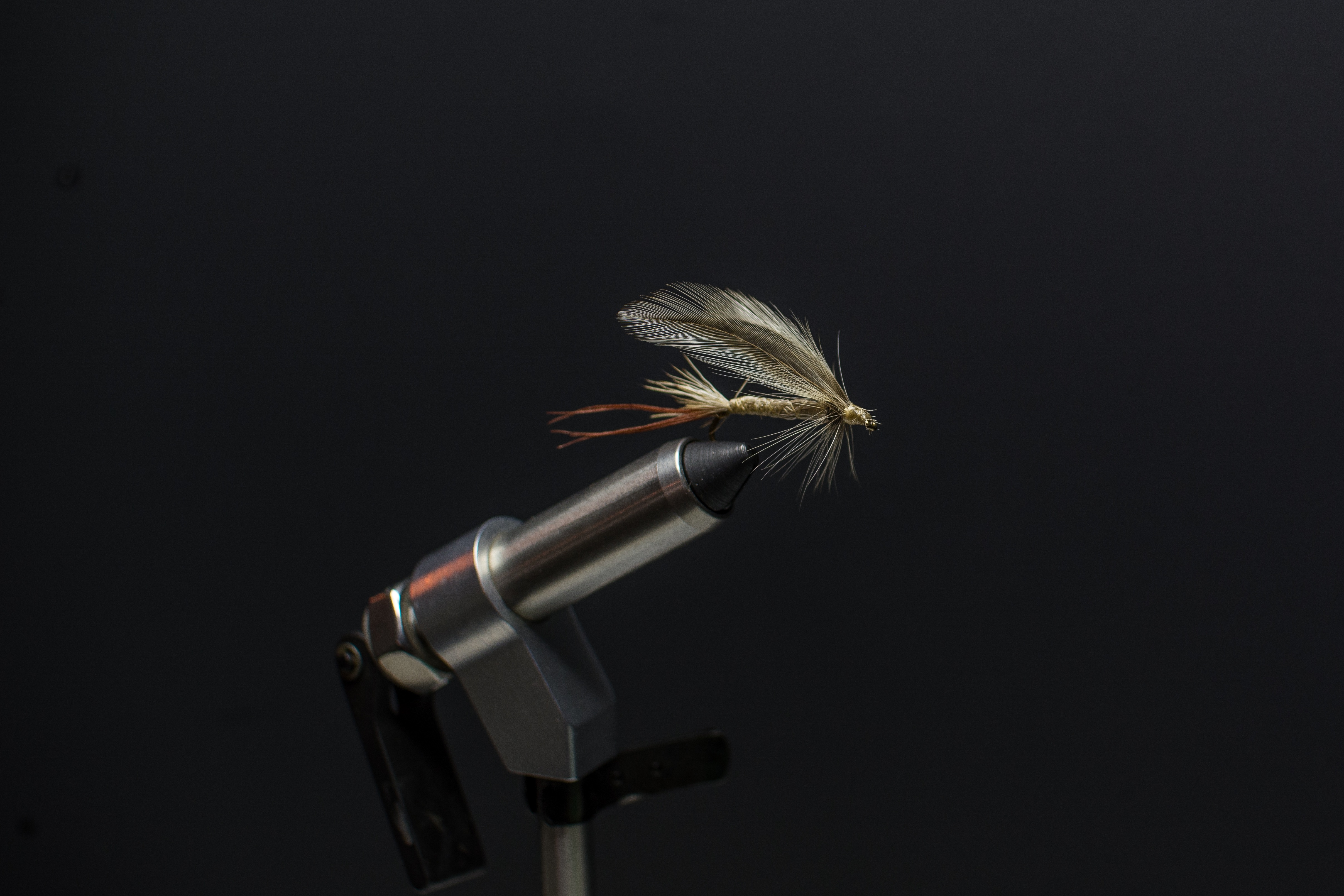 fly, gray, tattoo, indoors, fly-tying, flies, one animal, studio shot, focus on foreground, angler, 4K, single object, animal themes, black background, HD Wallpaper