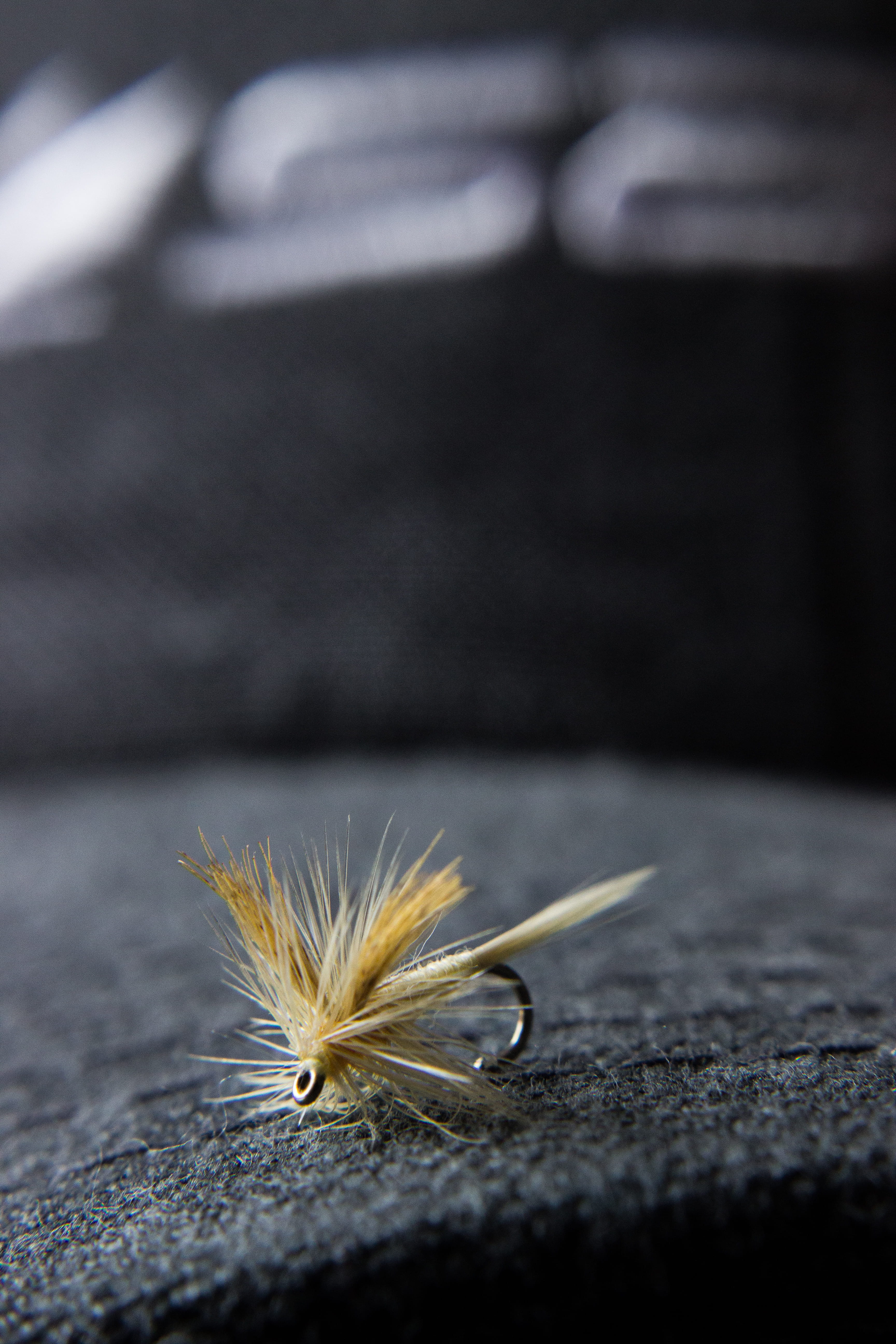 small, vulnerability, plant, united states, nature, fly tying, colorado springs, hat, close-up, no people, selective focus, beauty in nature, indoors, 5K, Phone HD Wallpaper