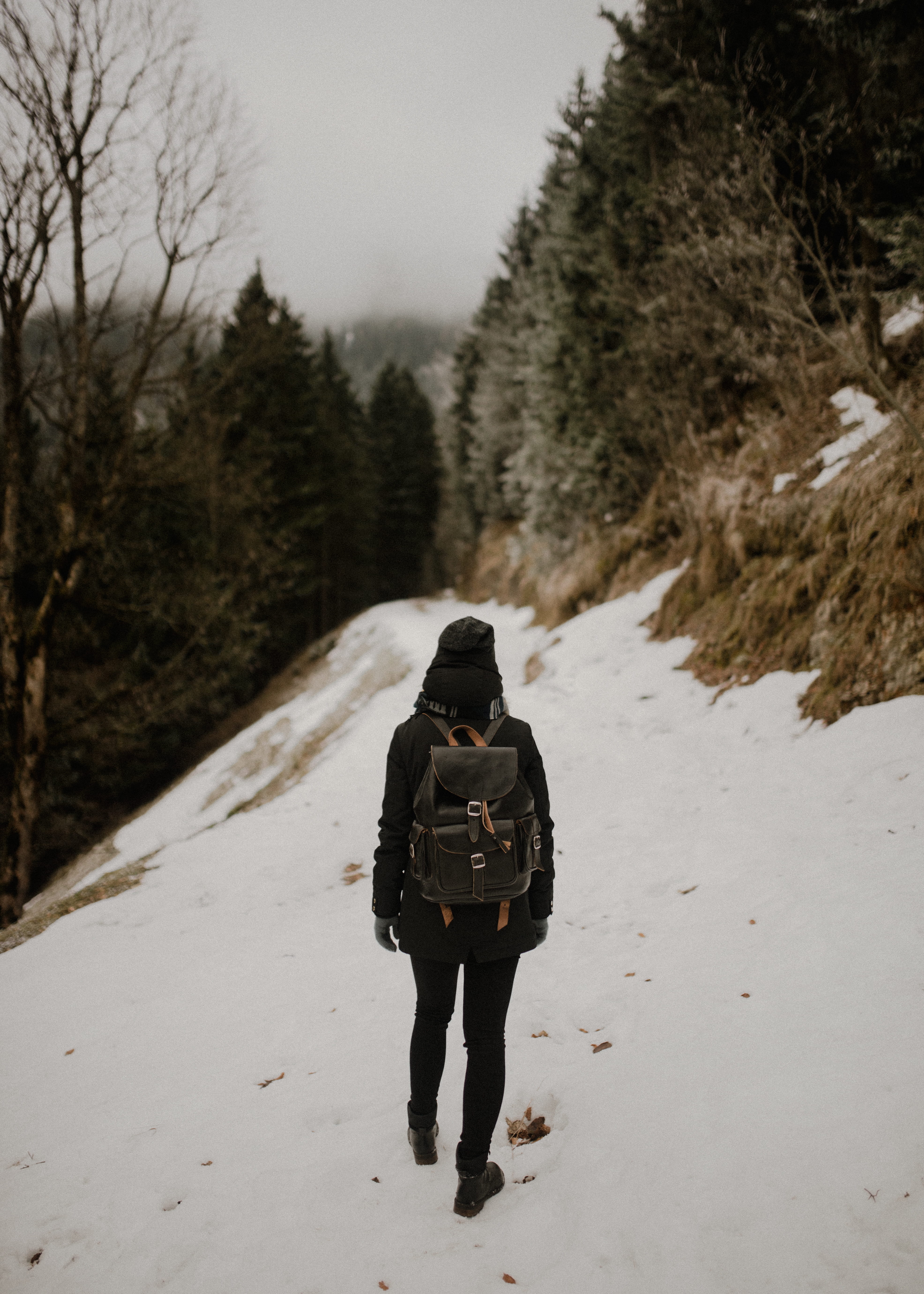 exploring, walk, outdoors, warm clothing, travel, snow, 5K, tree, longwalk, backpack, rear view, dom, clothing, leisure activity, full length, woman, hike, Phone HD Wallpaper