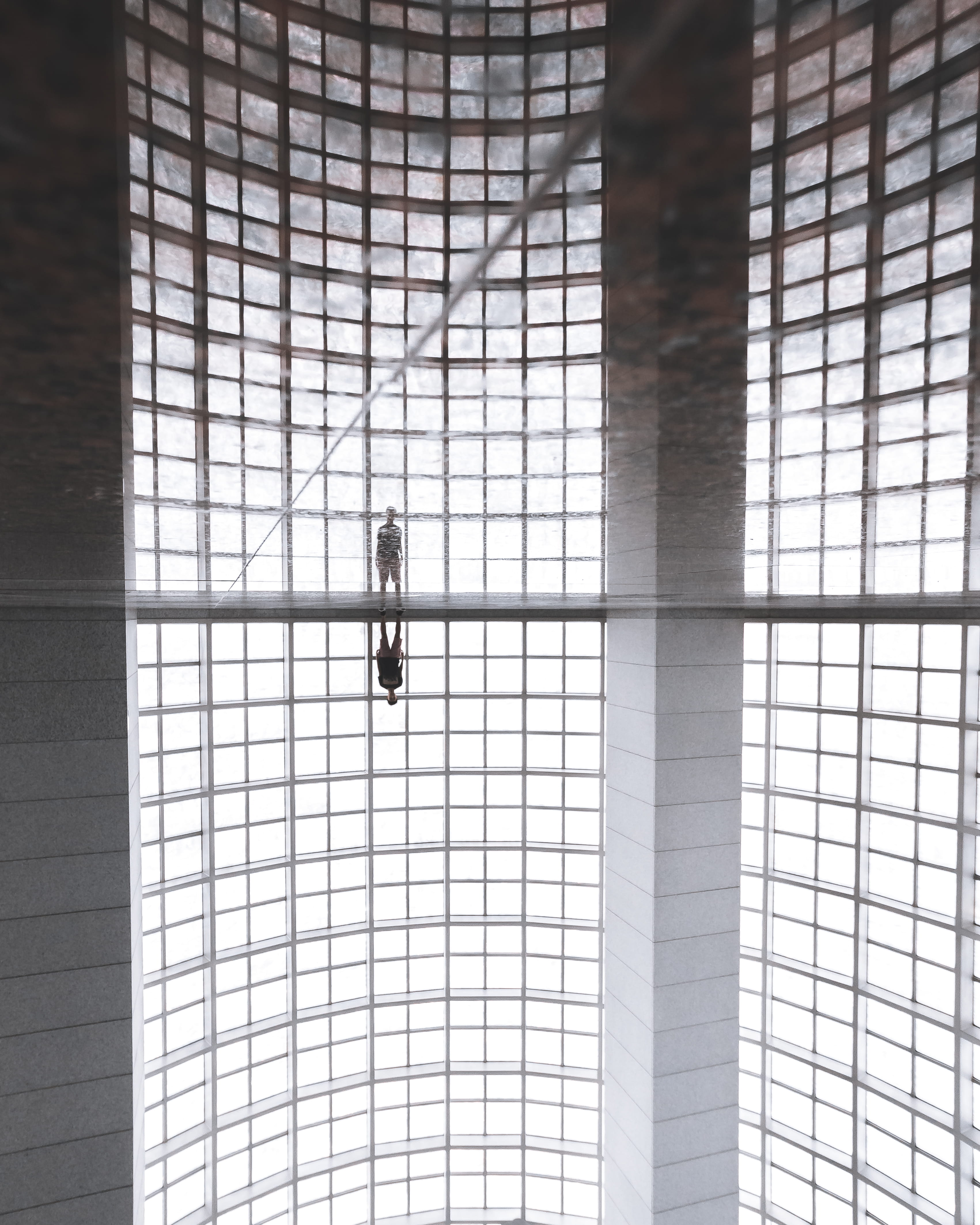 high, grid, full frame, ceiling, concrete, animals in the wild, design, inside, person, animal themes, 4K, architecture, texture, stand, directly below, Phone HD Wallpaper