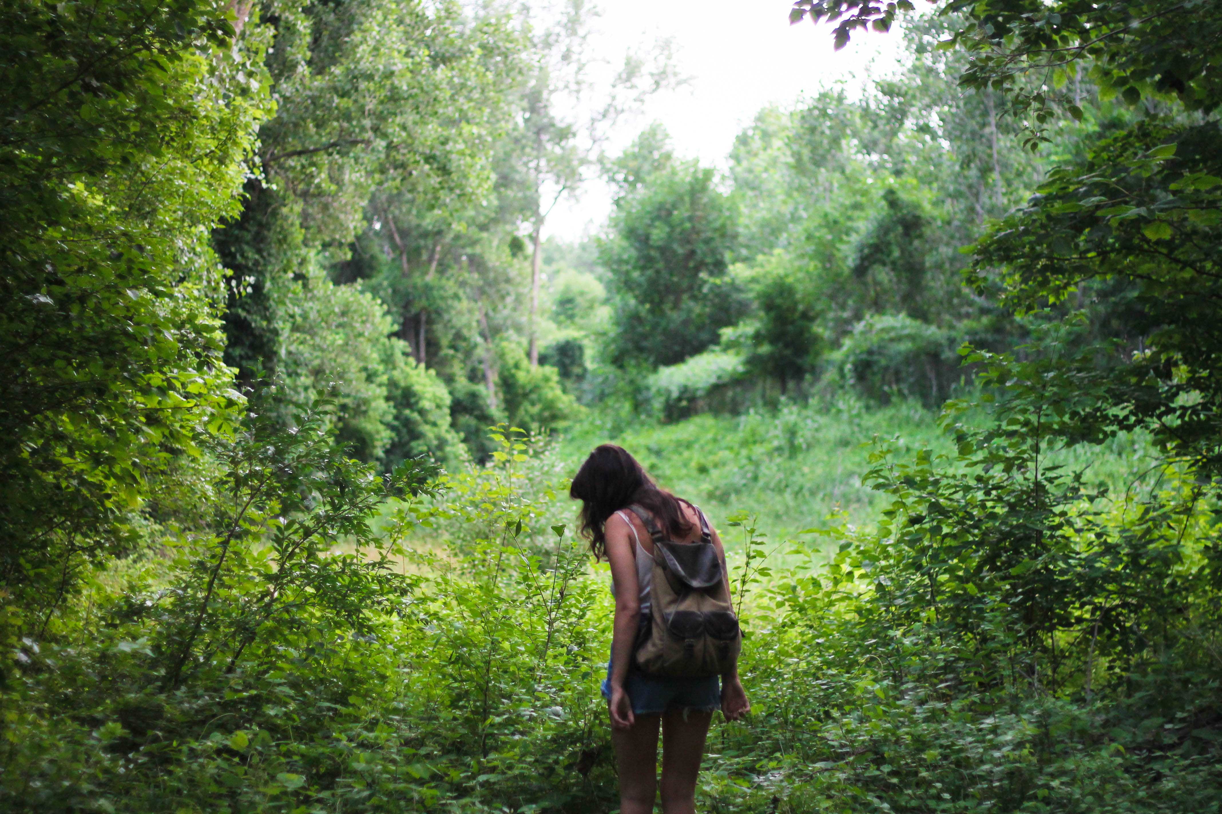 model, foliage, jean shorts, lush foliage, women, real people, day, back, one person, tree, 4K, outdoors, woodland, plant, forest, bare shoulders, women outdoors, HD Wallpaper