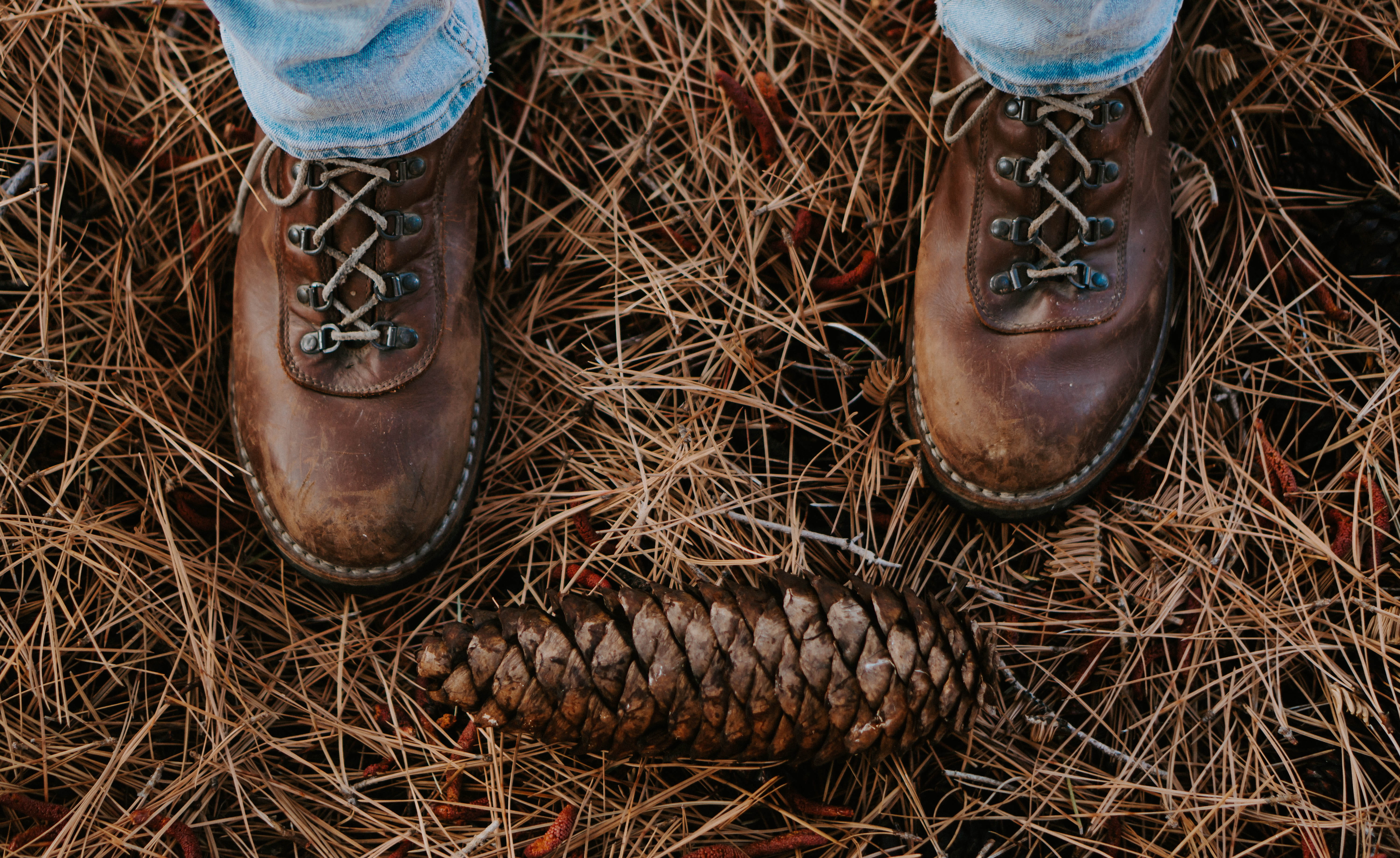 human leg, body part, leather, day, high angle view, field, person, winter, evergreen, boot, brown, outdoor, human foot, hiking, explore, nature, gift, HD Wallpaper