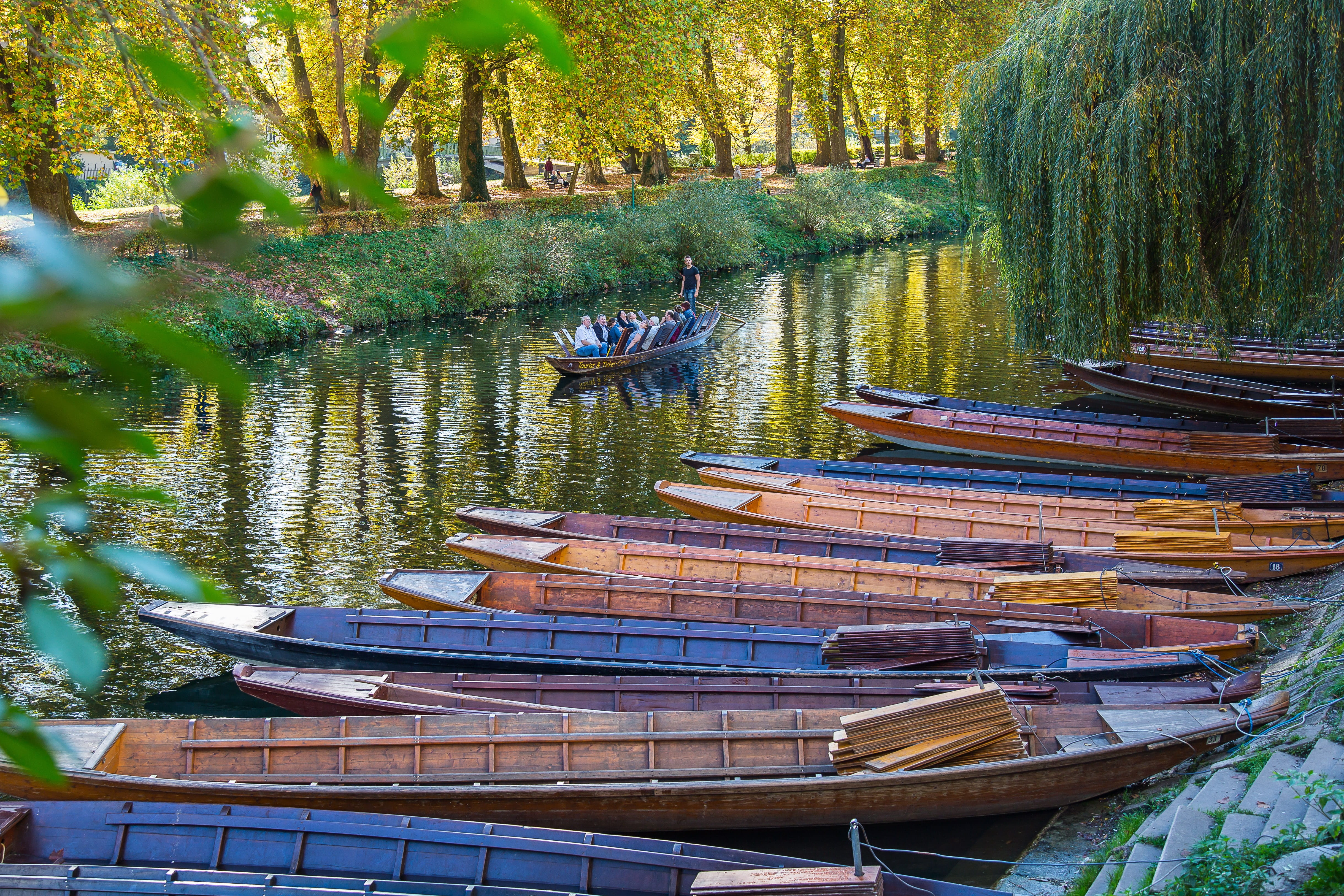 mode of transportation, outdoors, university city, day, lake, nature, kahn, tranquility, beauty in nature, transportation, nautical vessel, moored, plant, HD Wallpaper