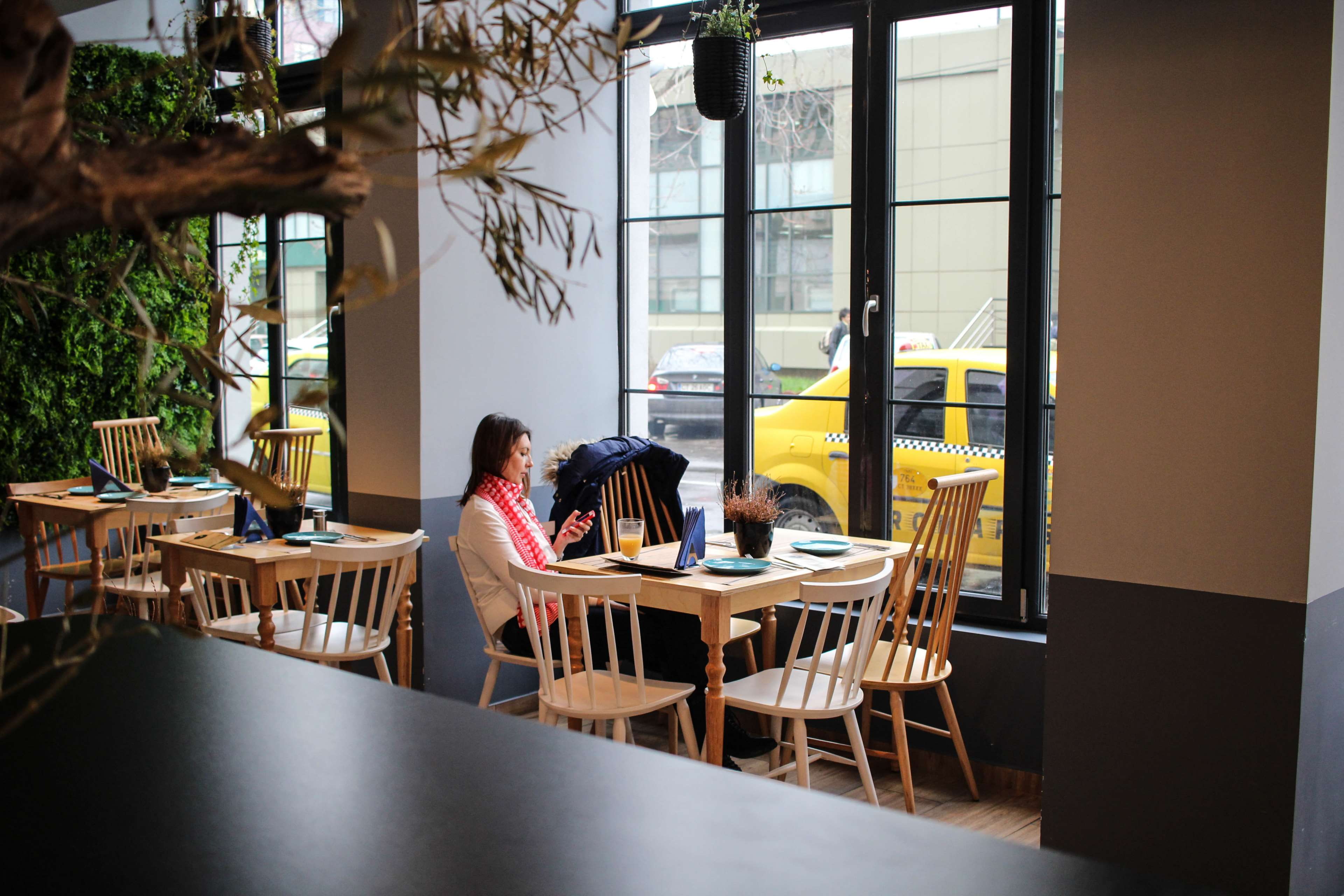 cafe, lifestyles, indoors, 4K, nature, texting, sitting, real people, people, seat, girl, business, leaves, glass windows, furnitures, chairs, plates, HD Wallpaper