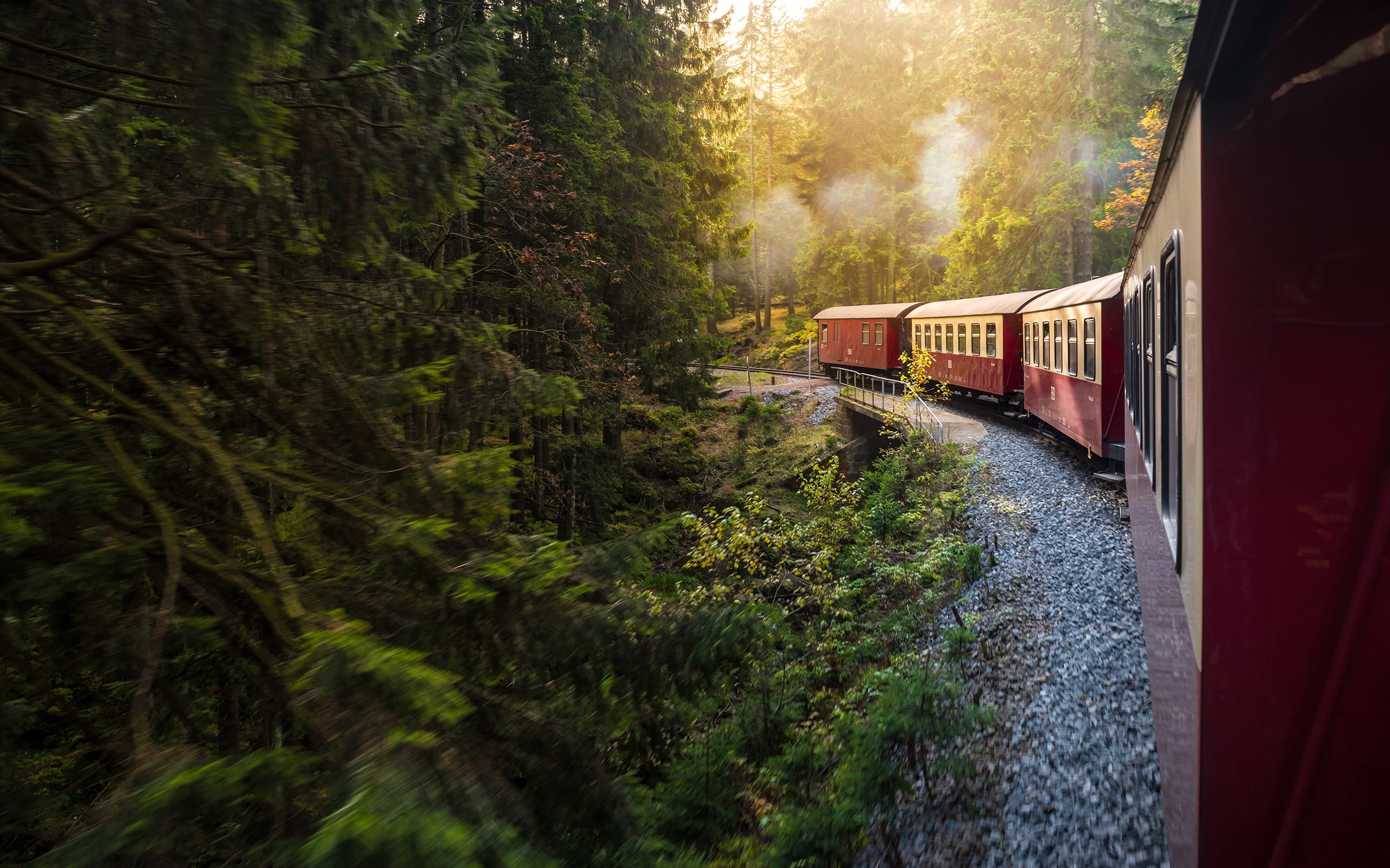 railroad car, plant, black, train, motion, public transportation, tree, rail transportation, railroad track, train - vehicle, 2K, outdoors, day, trailer, HD Wallpaper