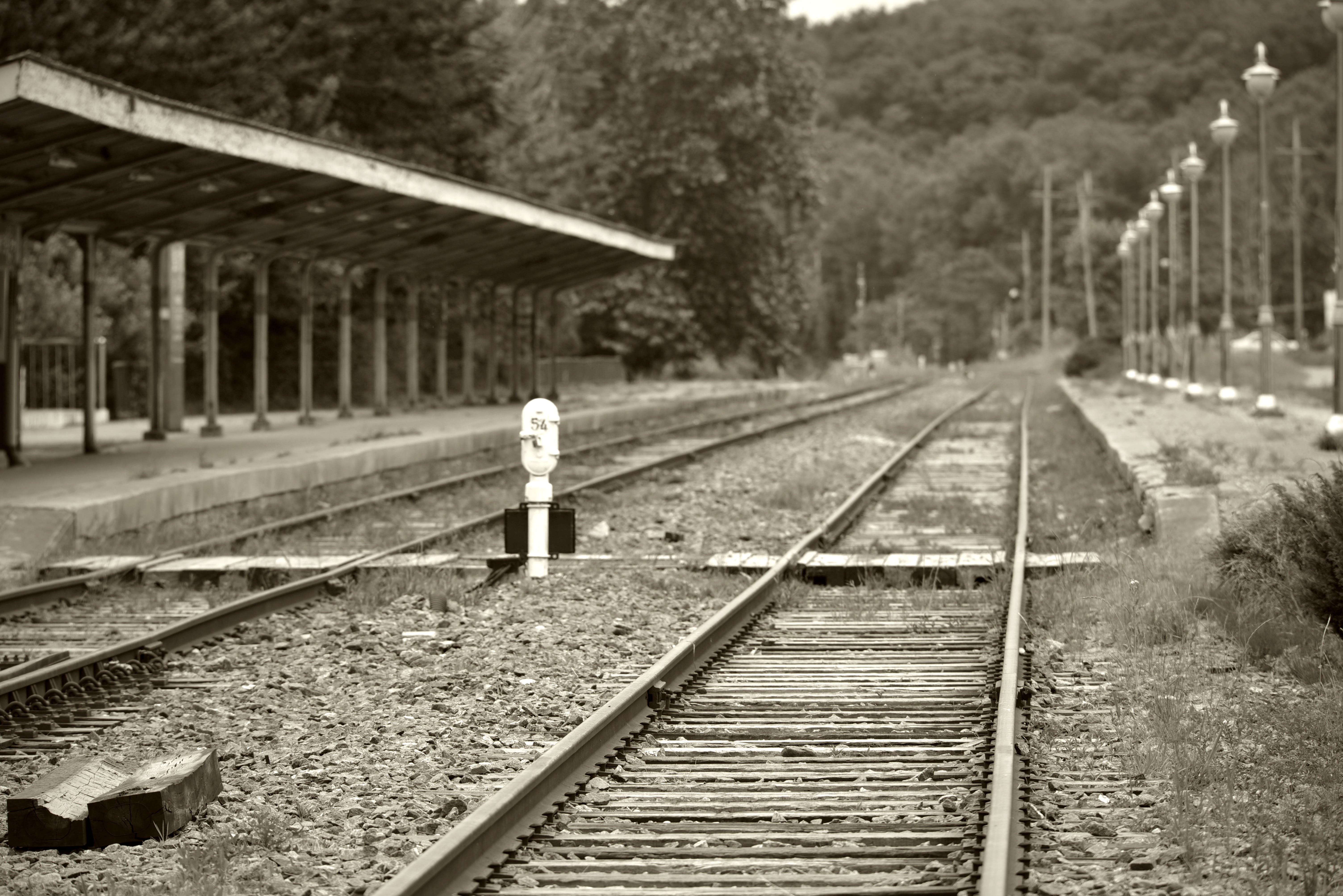old station, a freight train, rail transportation, station staff, walking, nature, rail, vintage, cat, rear view, lung area, real people, mode of transportation, HD Wallpaper