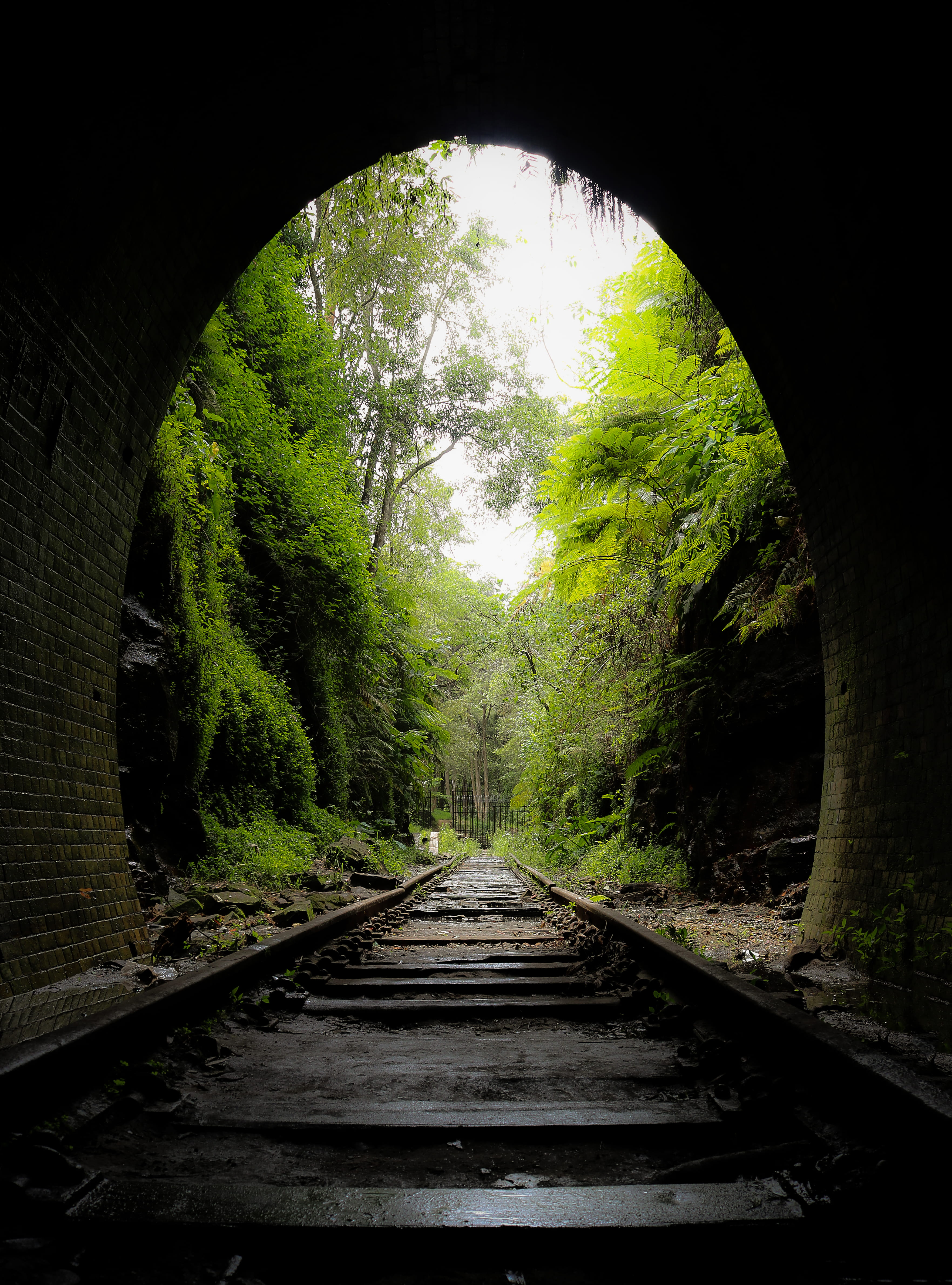 the way forward, train tracks, haunted, day, plant, ghost, earth, transportation, 4K, history, gloomy, abandoned trainstation, diminishing perspective, Phone HD Wallpaper