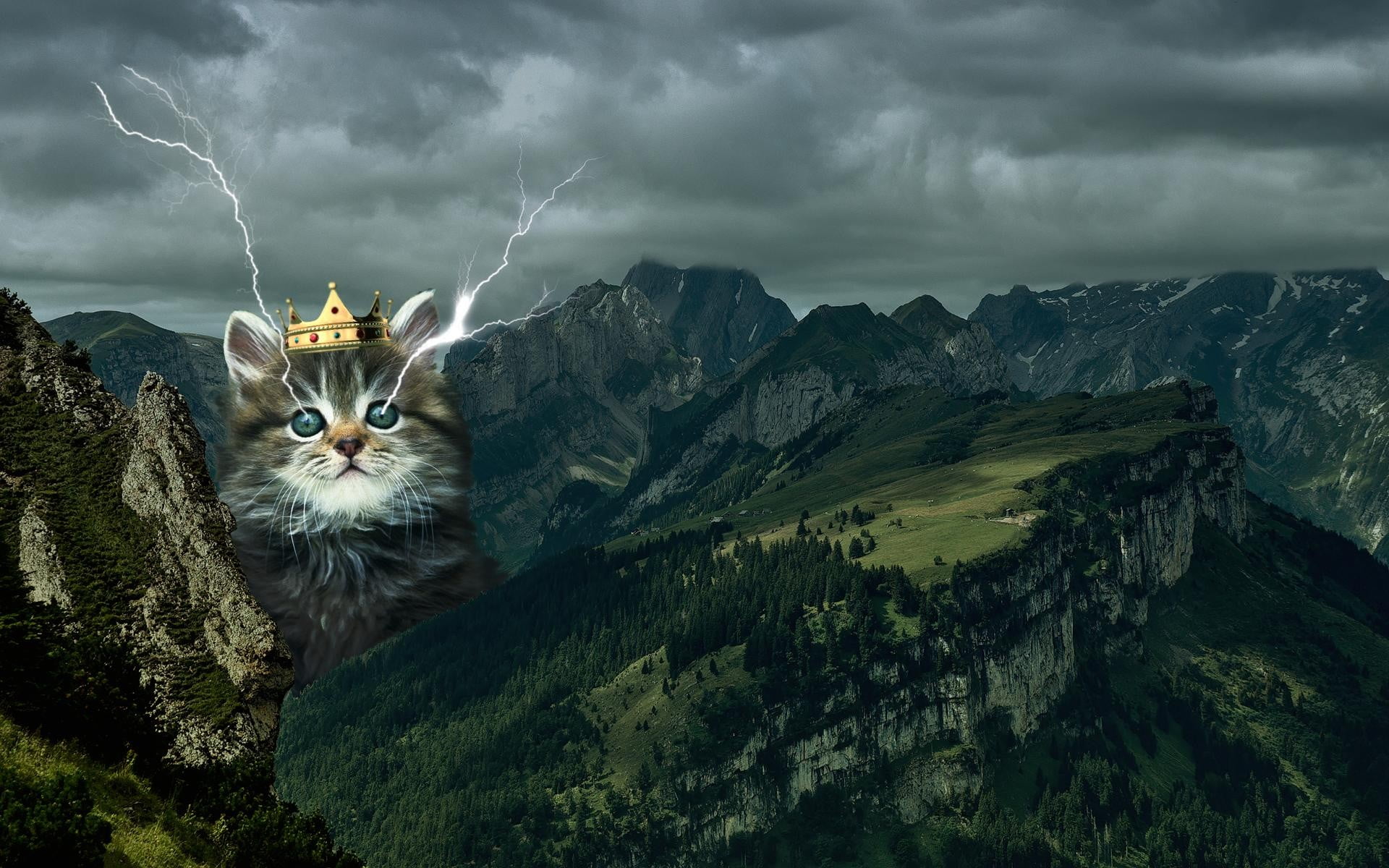 domestic animals, domestic cat, 1080P, illustration, one animal, tabby, pets, feline, storm cloud, no people, kitten, sky, whisker, portrait, animal themes, HD Wallpaper