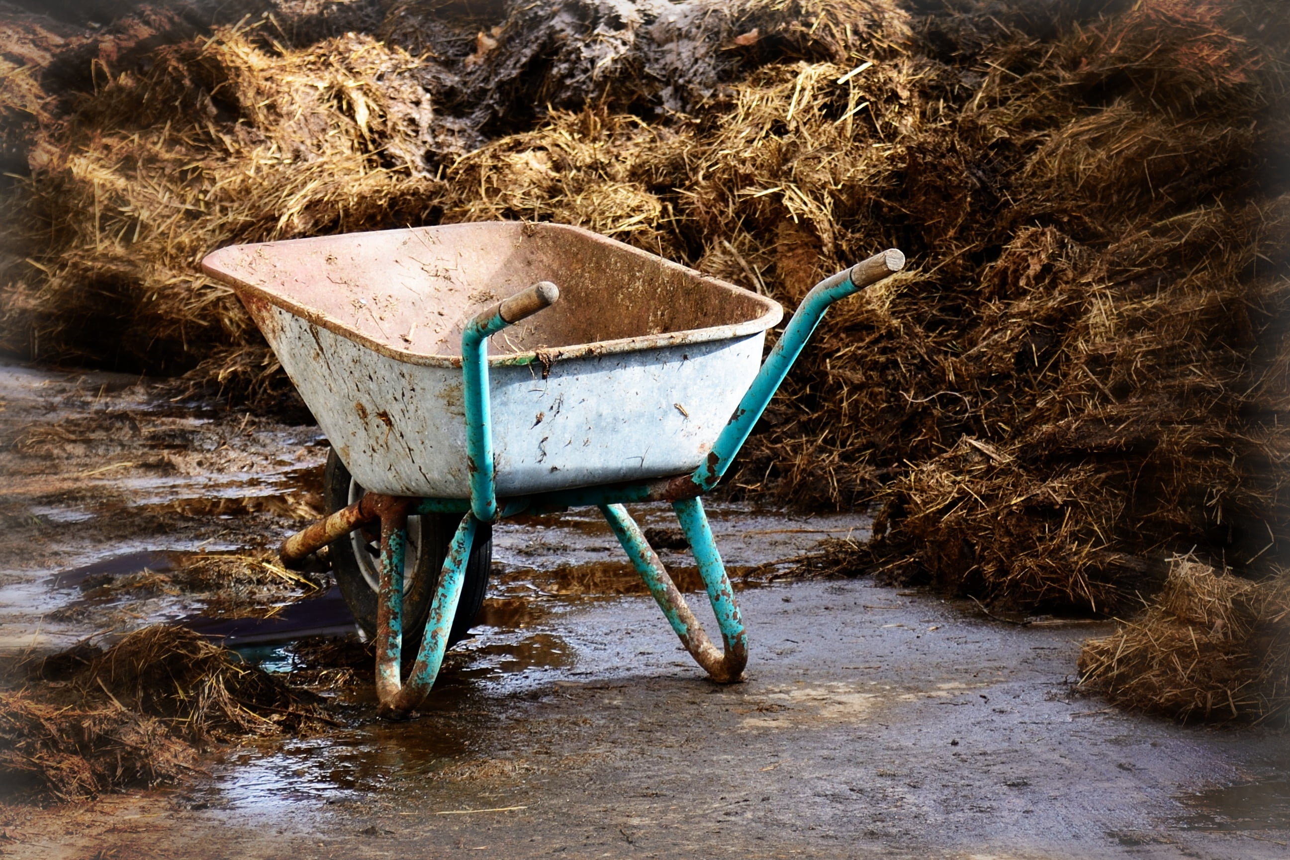 old, obsolete, no people, day, wheel, equipment, cart, dirt, seat, bauer, transportation, dirty, straw, work, sunlight, land, gardening, transport, plant, HD Wallpaper