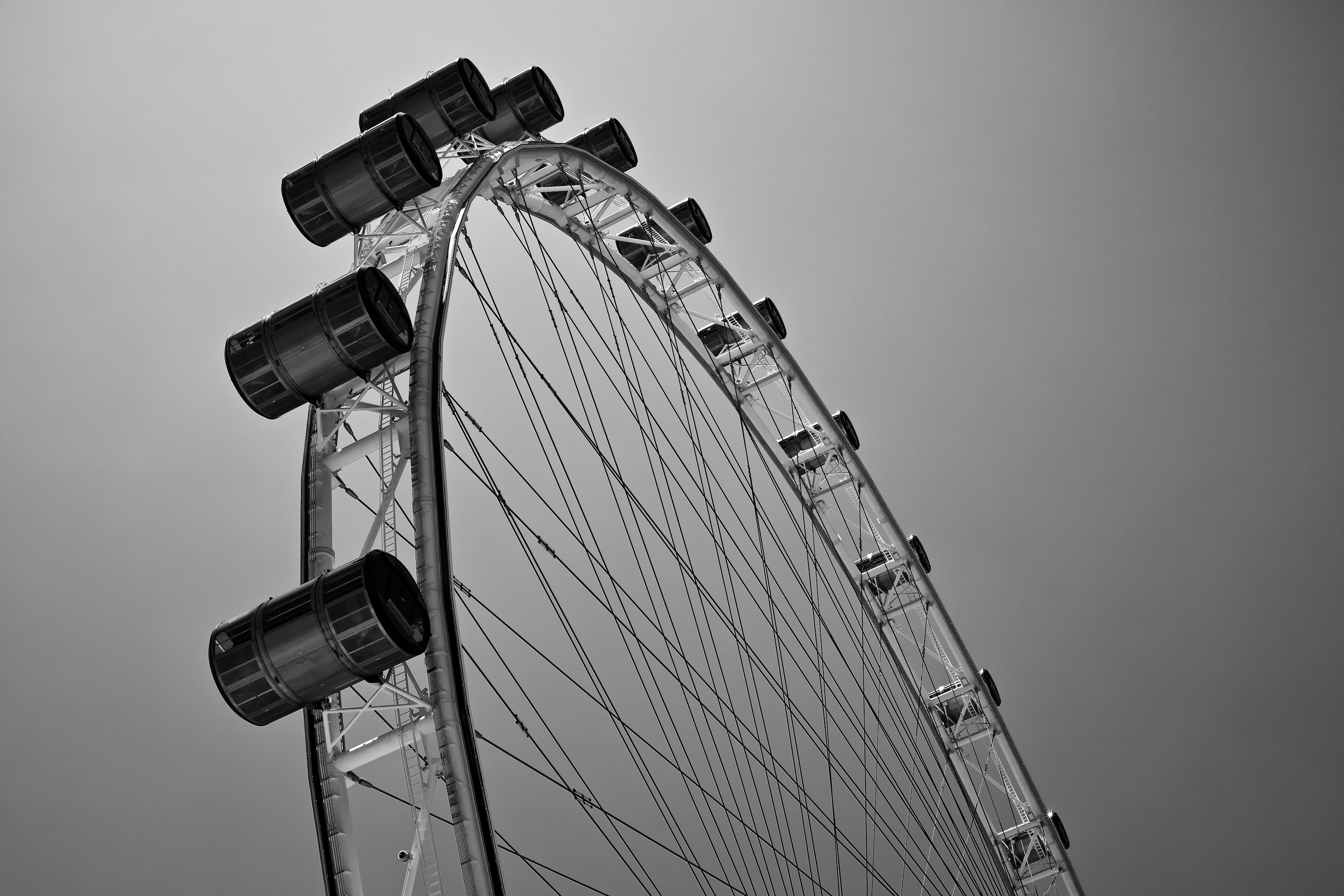 flower, brass section, amusement park, wheel, metal, outdoors, sky, clear sky, day, ferriswheel, fairground, tall - high, iris, fun, singapore, ferris wheel, HD Wallpaper