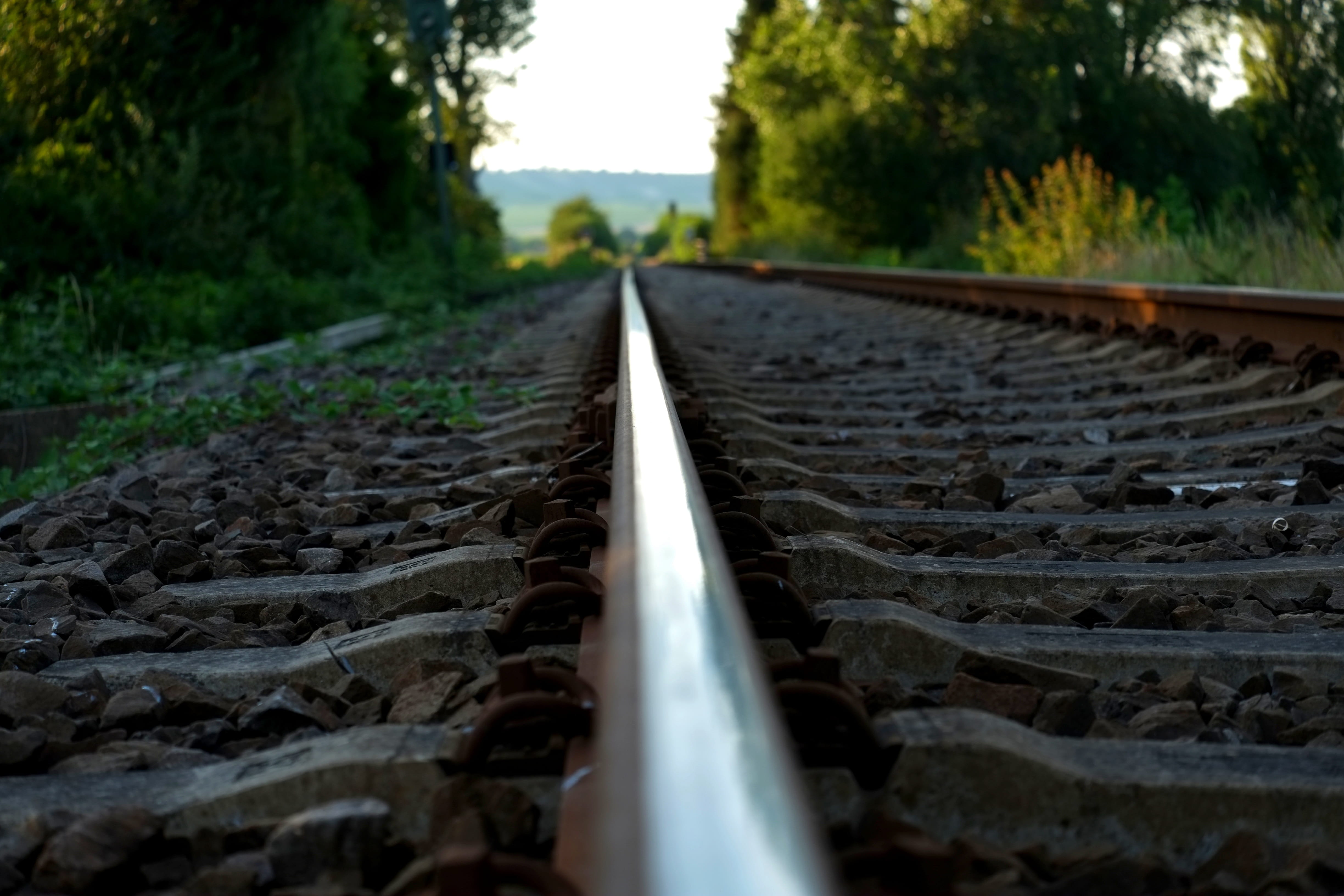 nature, metal rail, plant, track bed, the way forward, gravel, direction, track, surface level, vanishing point, iron, brown, diminishing perspective, engineering, HD Wallpaper