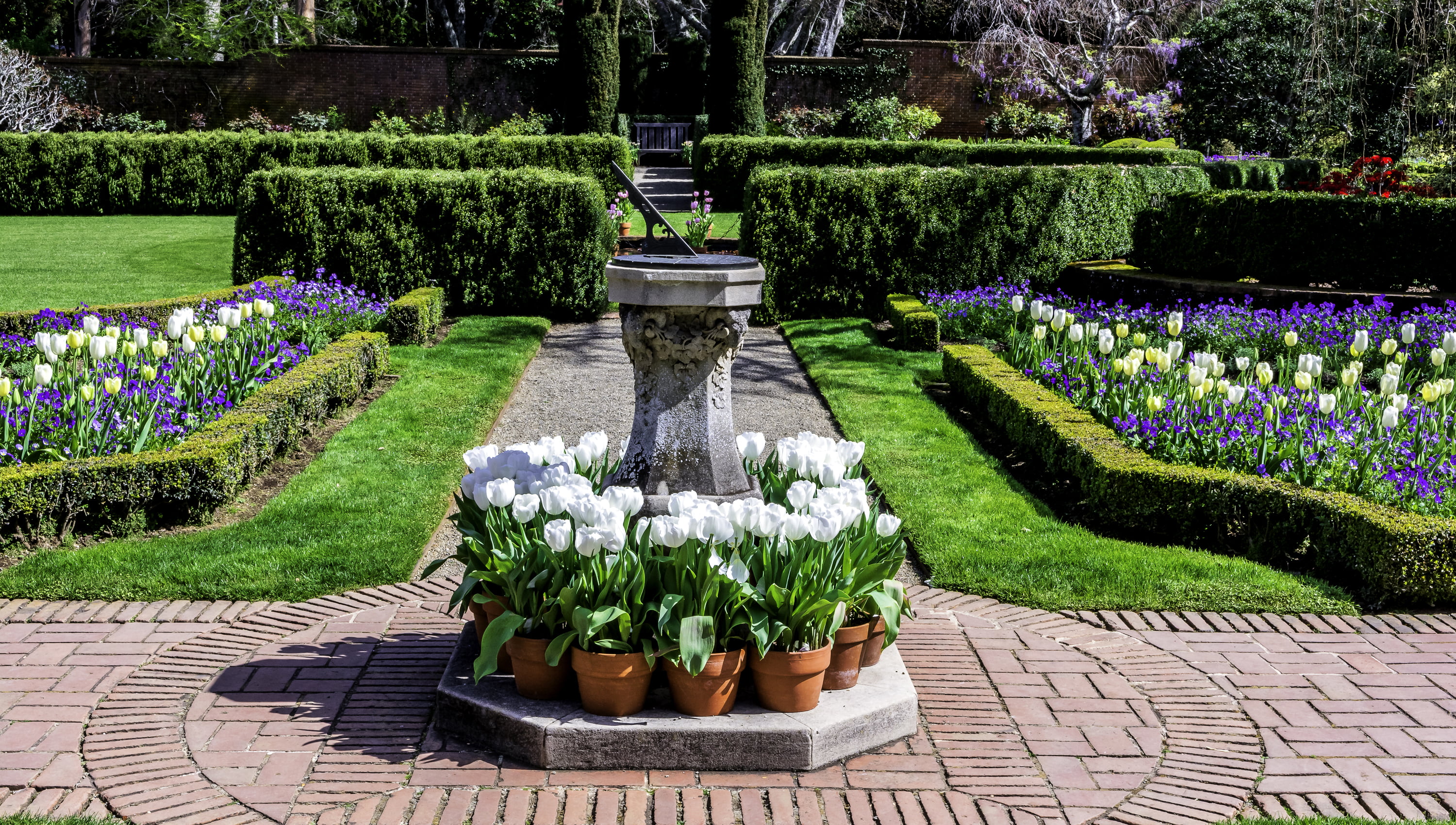 hedge, white, 2K, grass, beauty in nature, formal garden, CA, flowers, garden, pots, fountain, park - man made space, water, flowerbed, nature, outdoors, HD Wallpaper
