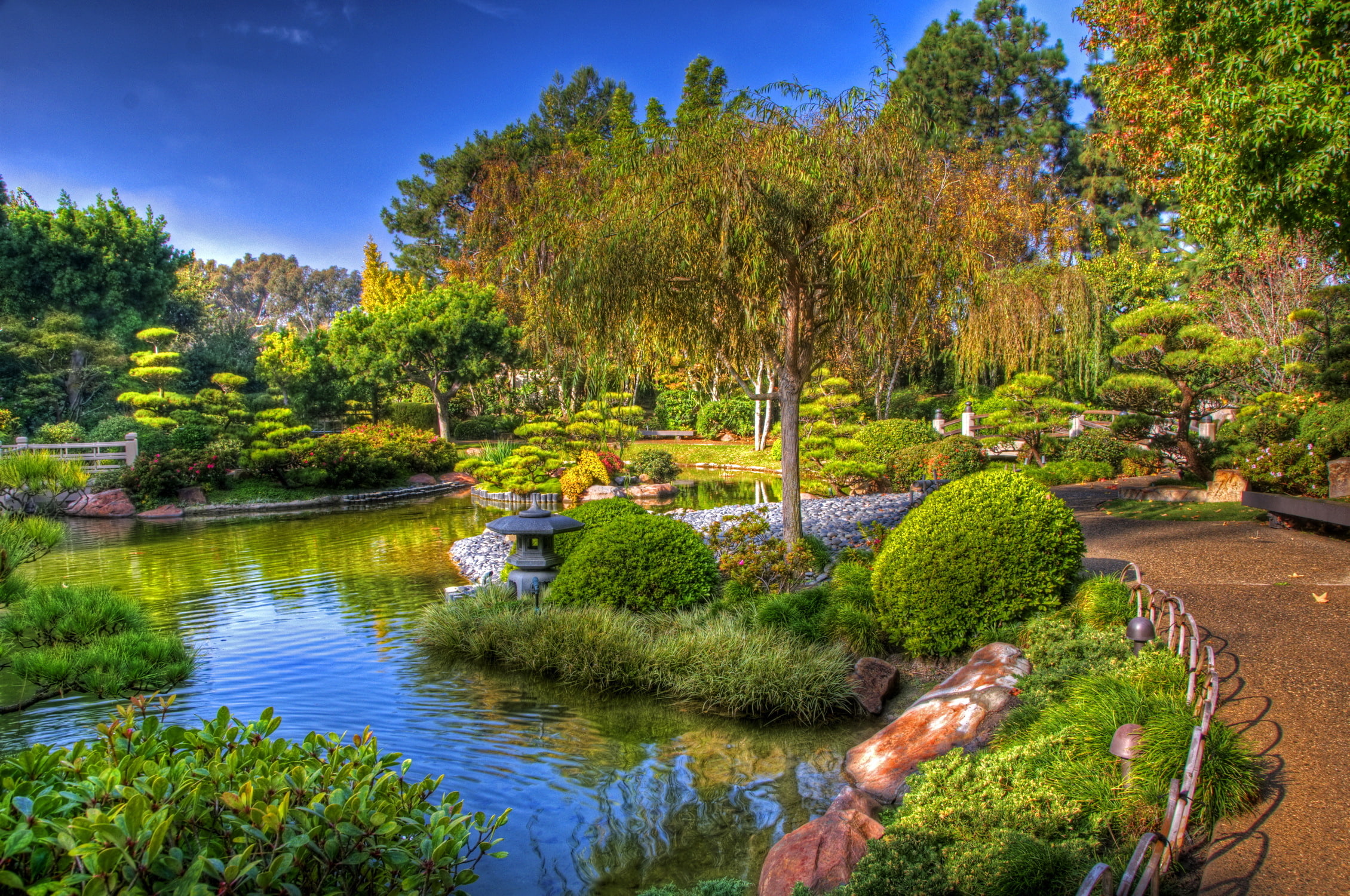 garden, trees, track, USA, the bushes, beds, 1080P, California, pond, Earl Burns Miller Japanese, HD Wallpaper