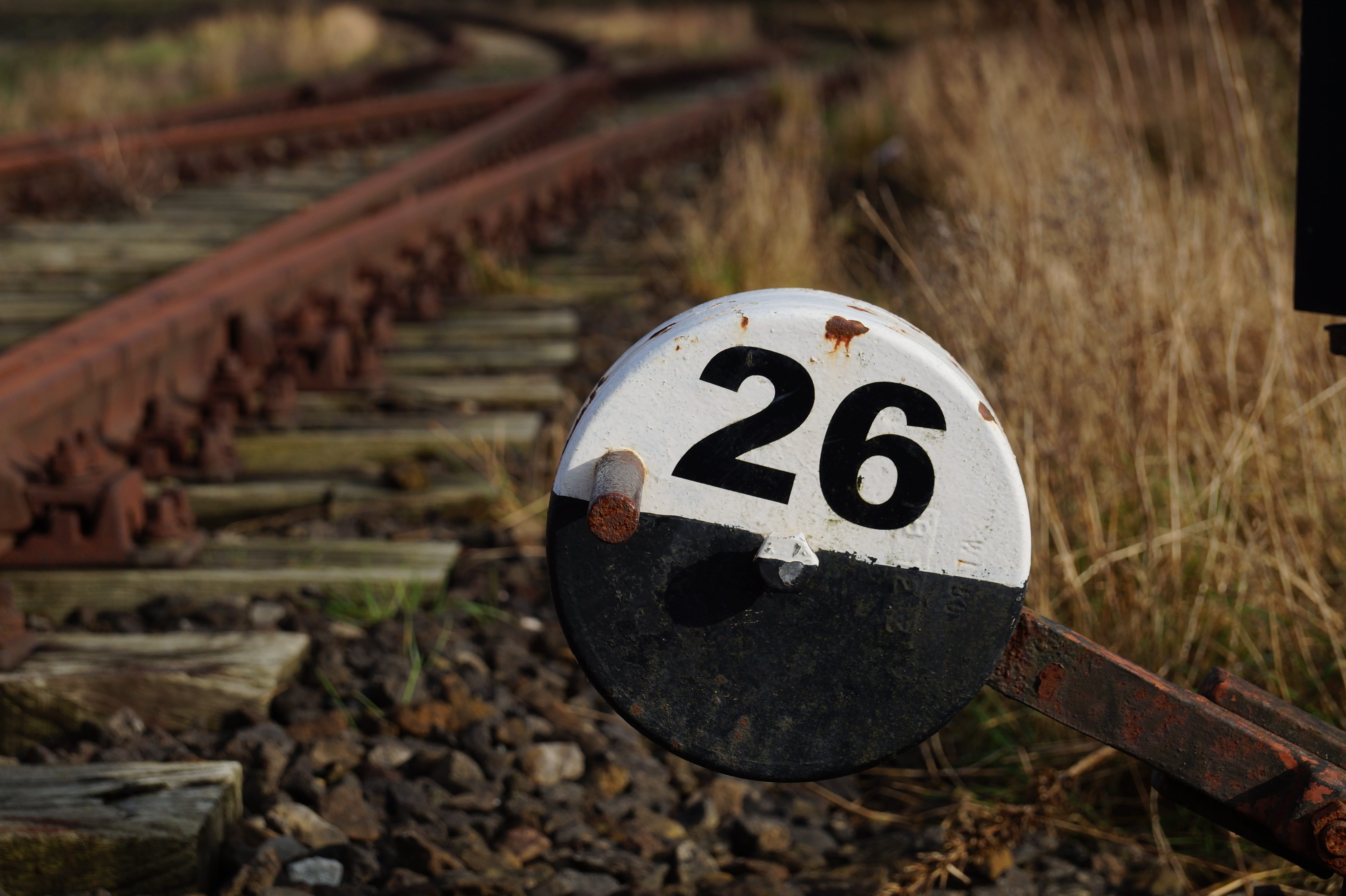 no people, rail, gravel, soft, track bed, rails, road sign, focus on foreground, overgrown, selective focus, railway rails, land, shape, railway, 5K, wooden post, HD Wallpaper