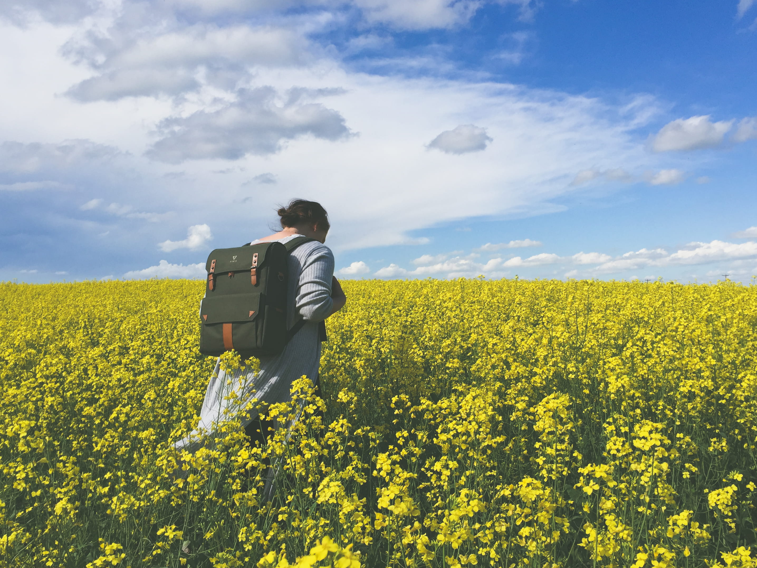sunny, real people, sky, rear view, oilseed rape, space, environment, outdoors, field, rural scene, beauty in nature, nature, wander, explore, yellow, 2K, HD Wallpaper