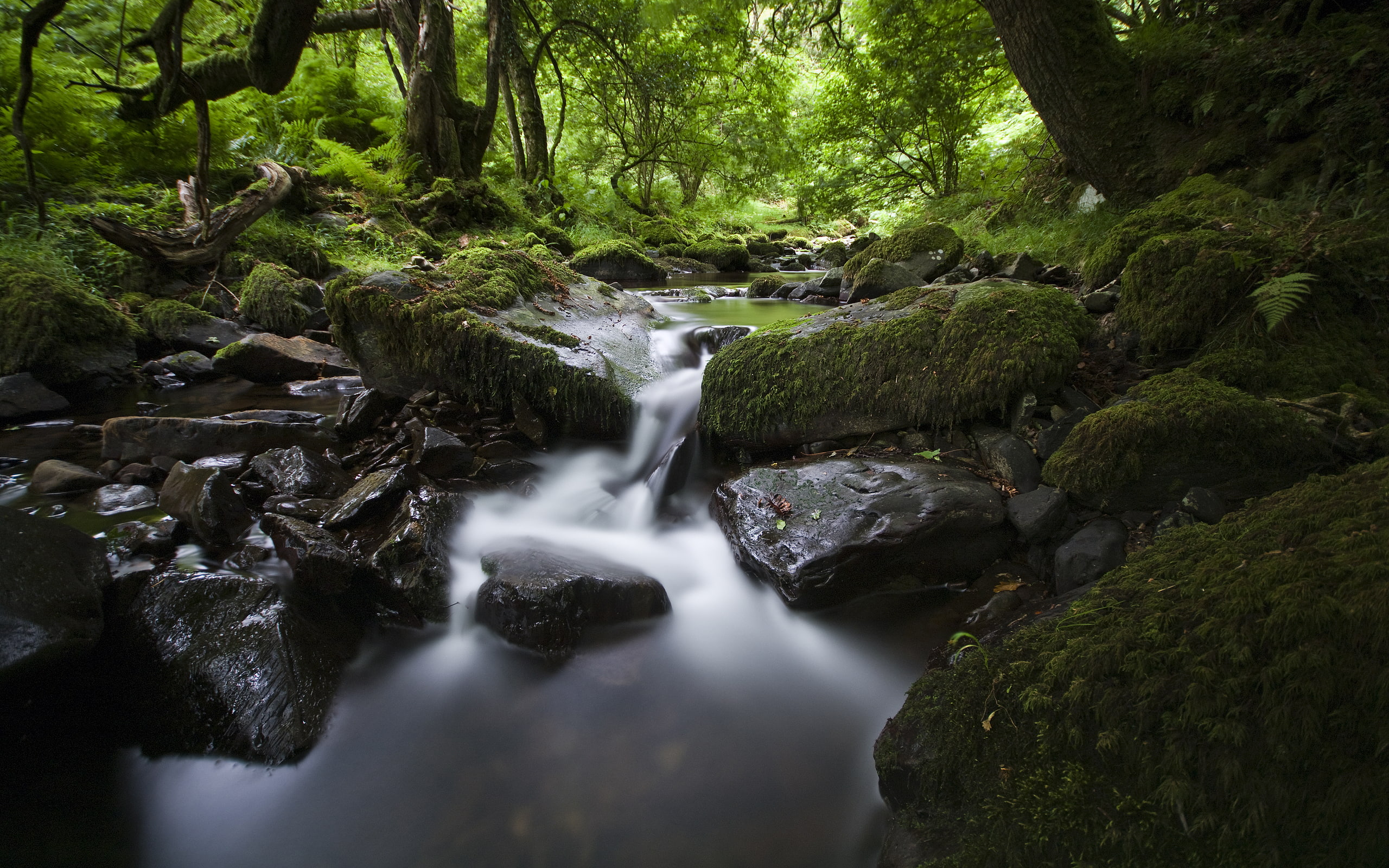 outdoors, scenics - nature, pentax, land, sigma10‑20mmf/4‑5.6exdc, green, no people, day, plant, green color, motion, england, rock - object, rock, pentaxk‑7, HD Wallpaper
