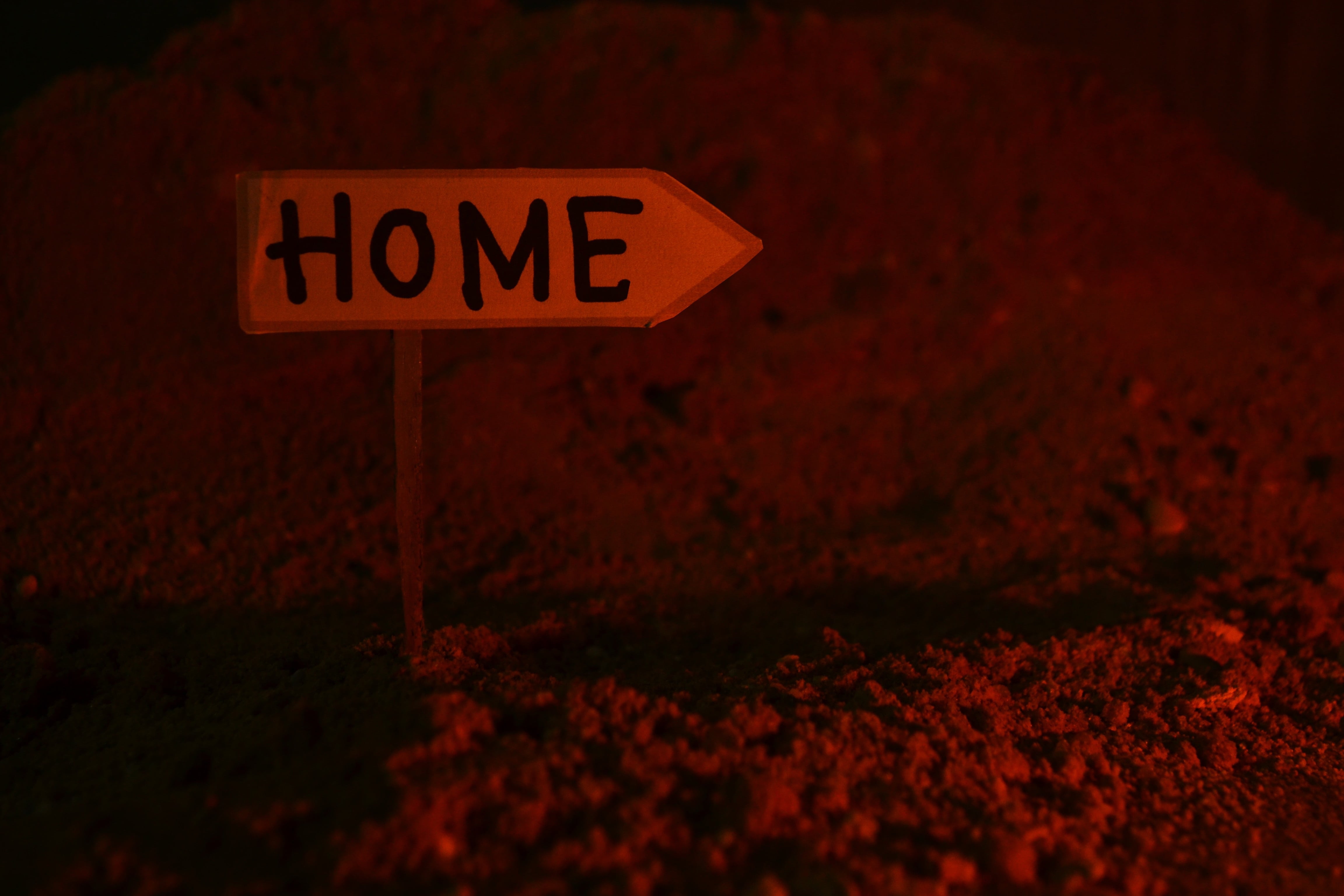 arrow symbol, close-up, nobody, mystery, western script, back, information, home, directional sign, plank, single word, 4K, capital letter, road, selective focus, HD Wallpaper