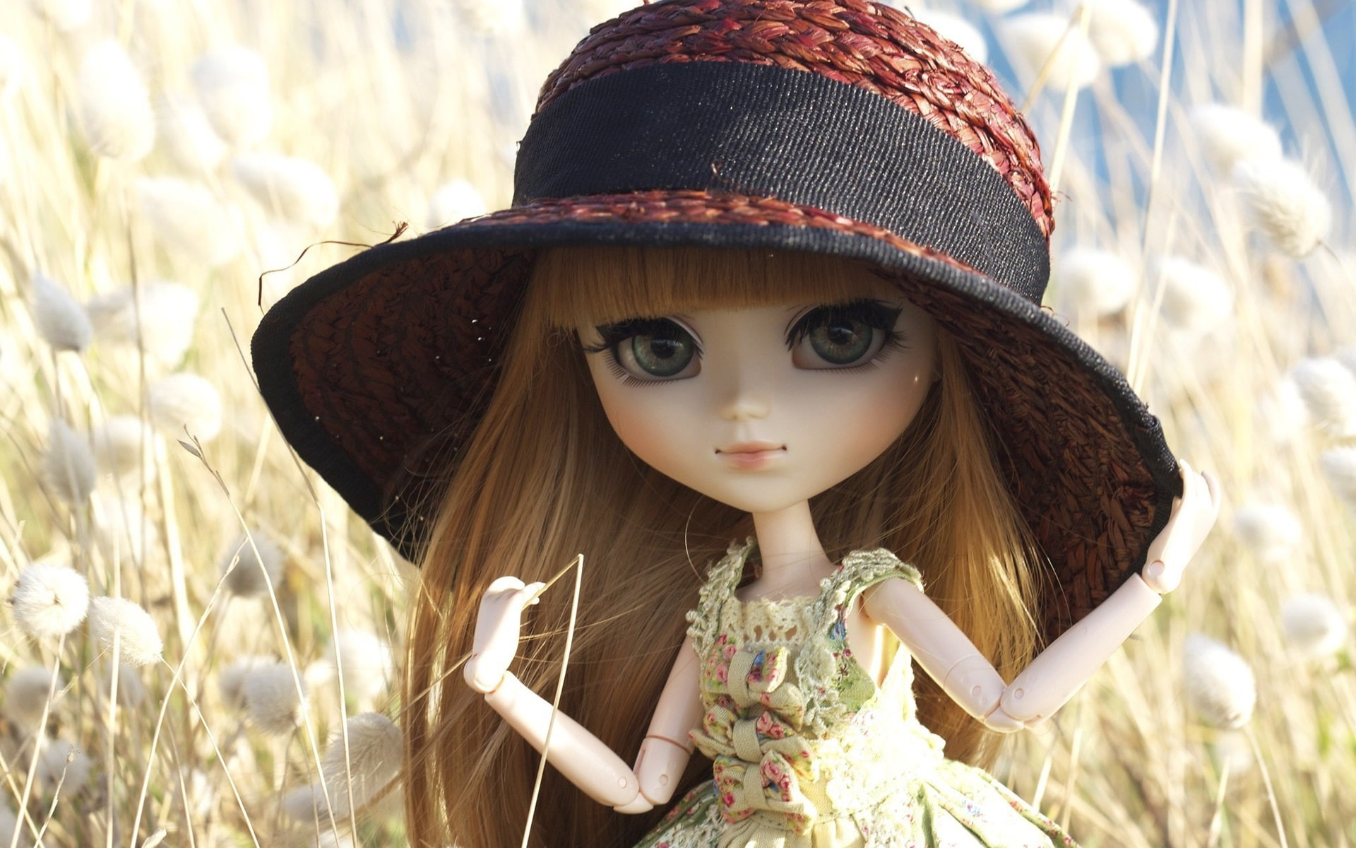 Hat, Grass, 1080P, Doll, Toys, HD Wallpaper
