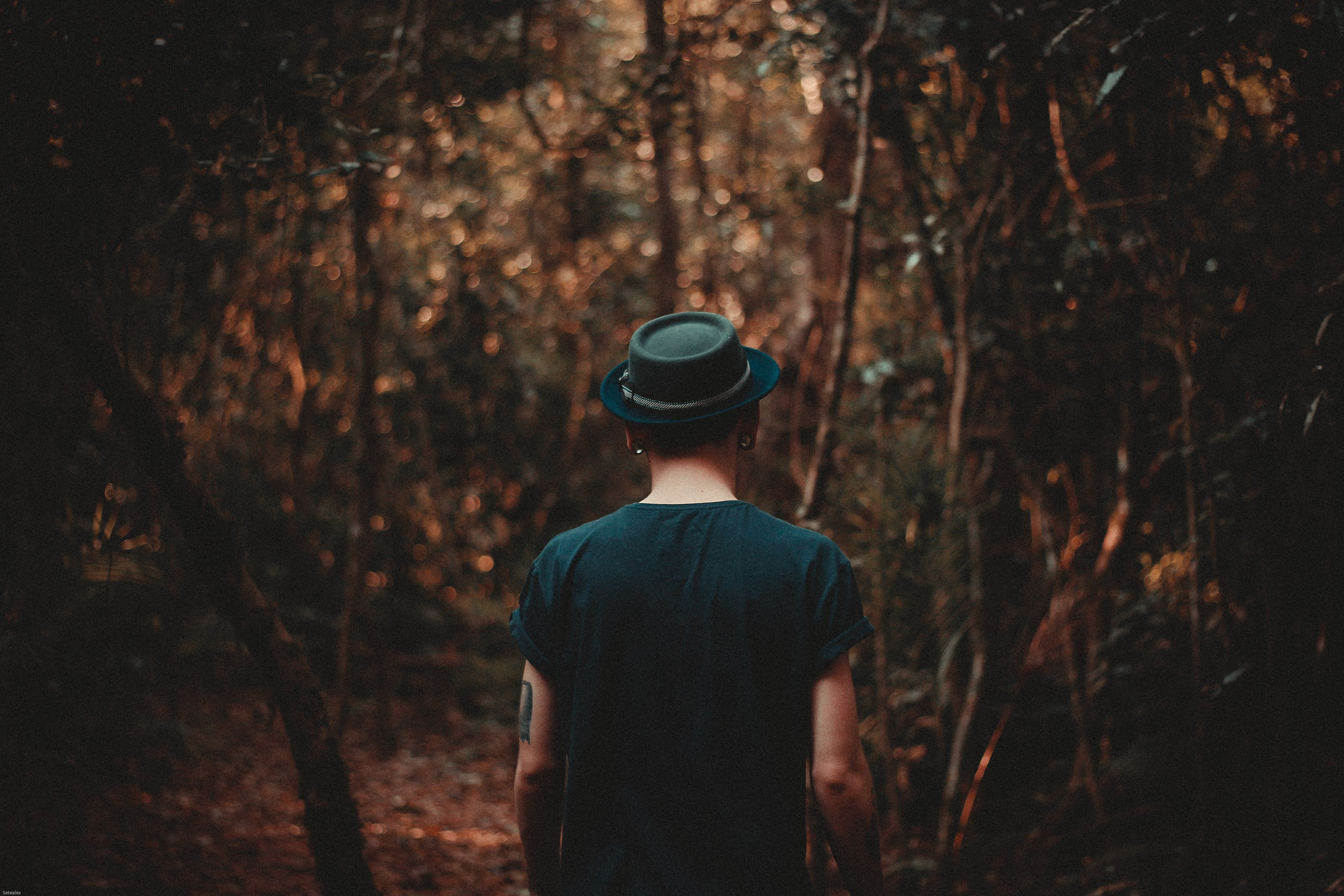 casual Clothing, tree, dark, nature, woodland, three quarter length, standing, one Person, back, focus on foreground, plant, leisure activity, clothing, HD Wallpaper